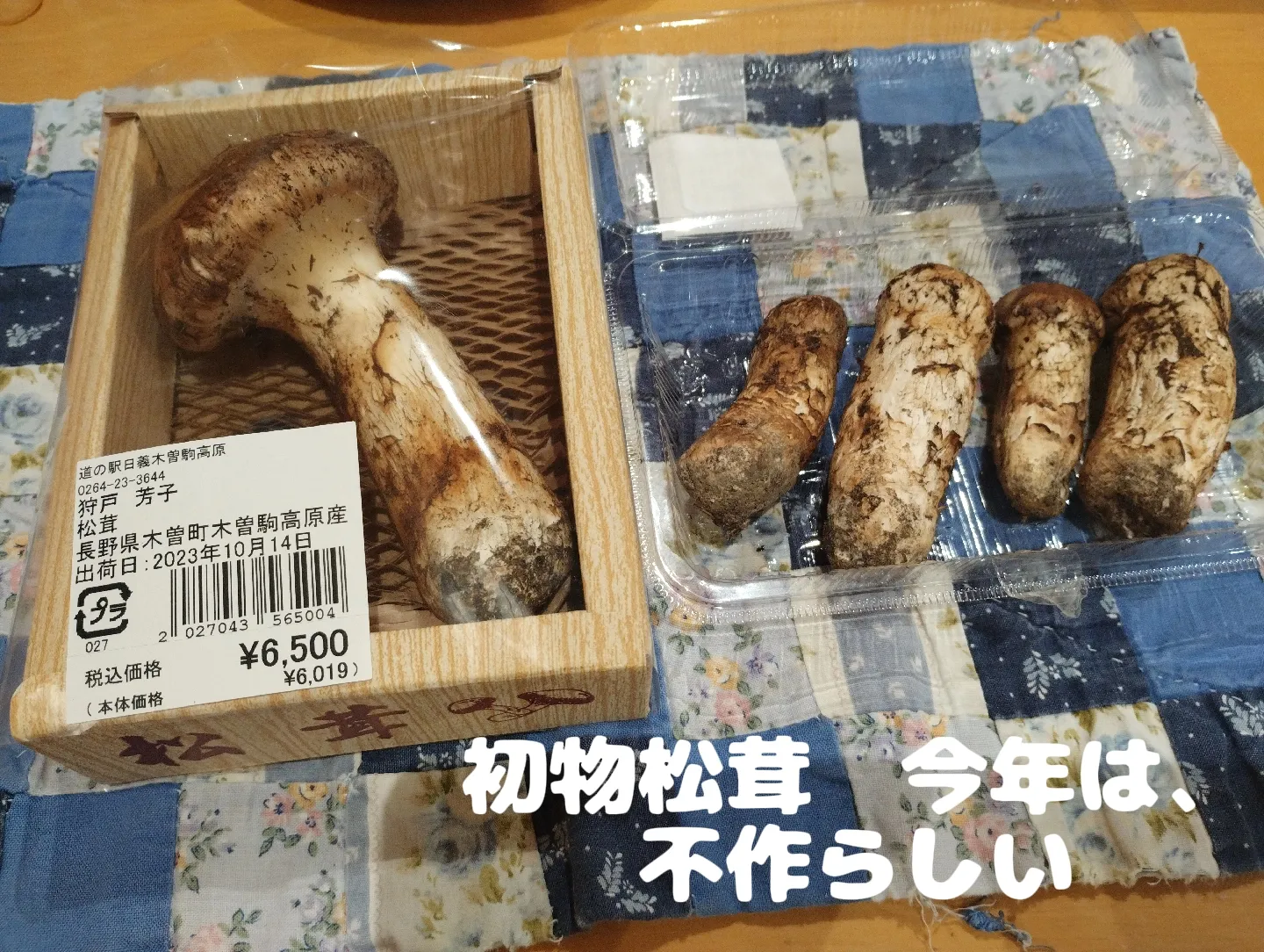 長野県中信産 松茸 9本入 400グラム 【公式通販】