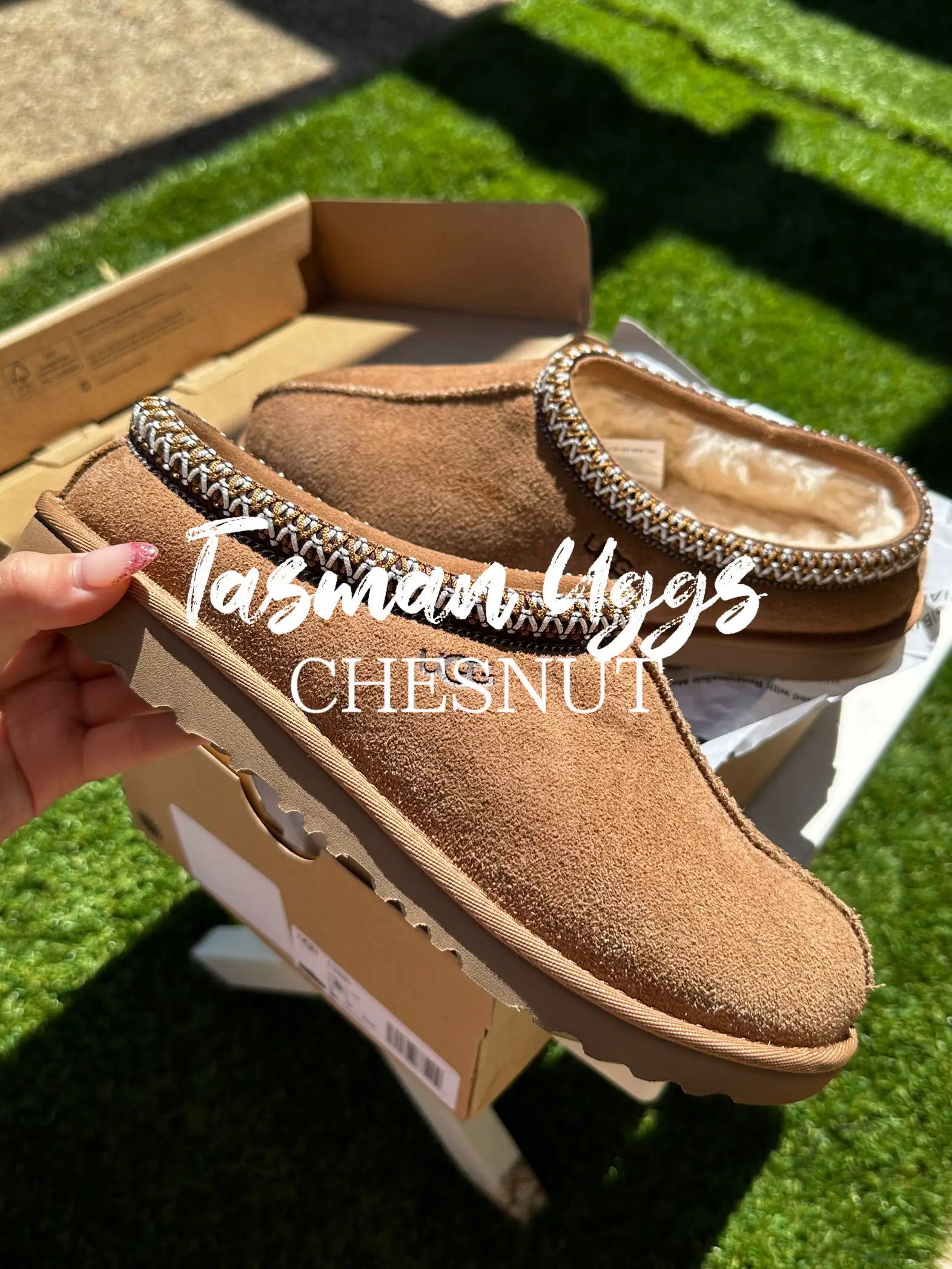 DHGATE UGG TASMAN REVIEW, Gallery posted by alwayseatingnyc