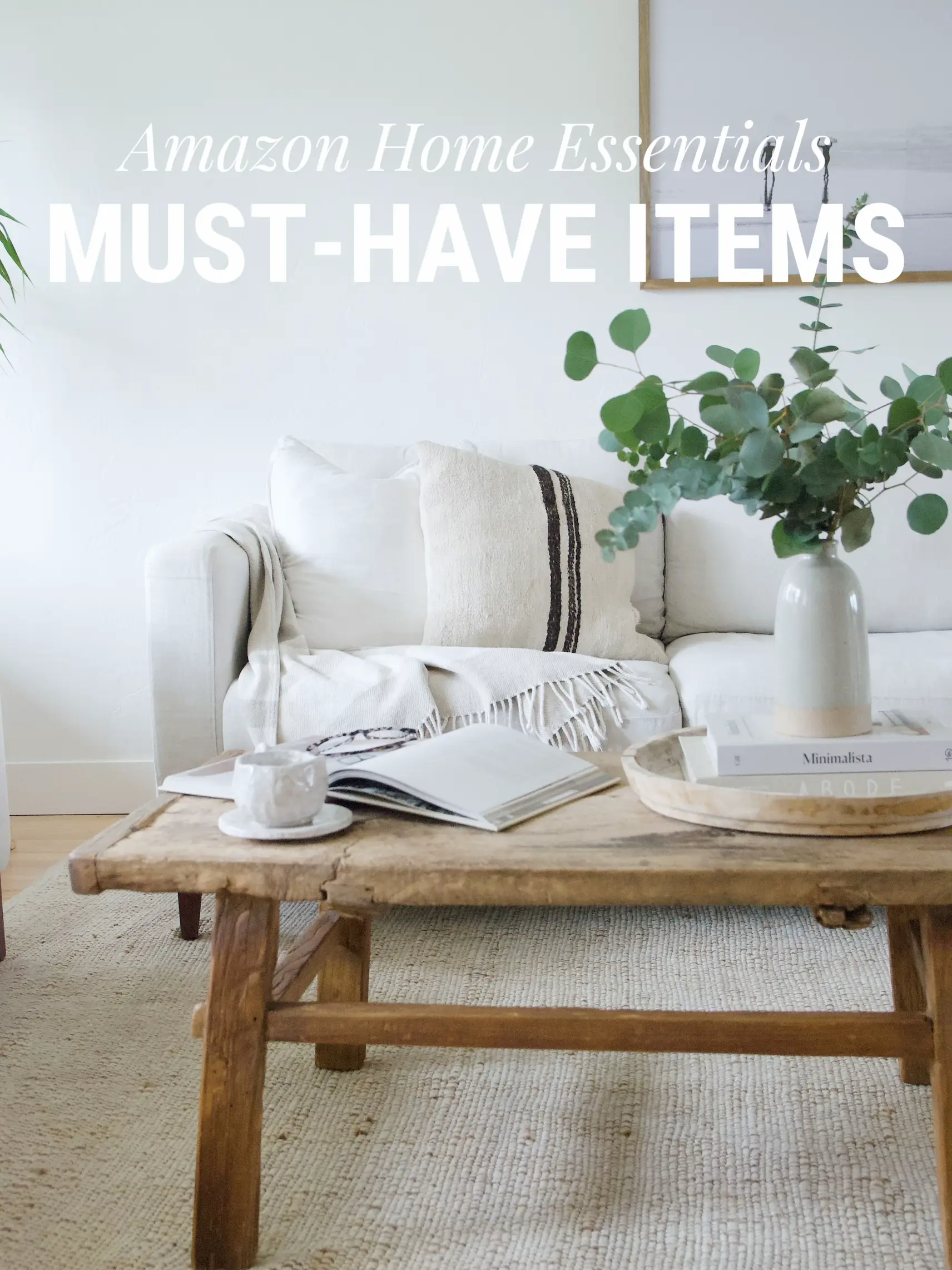 Home Essentials, Gallery posted by Jaime Scott