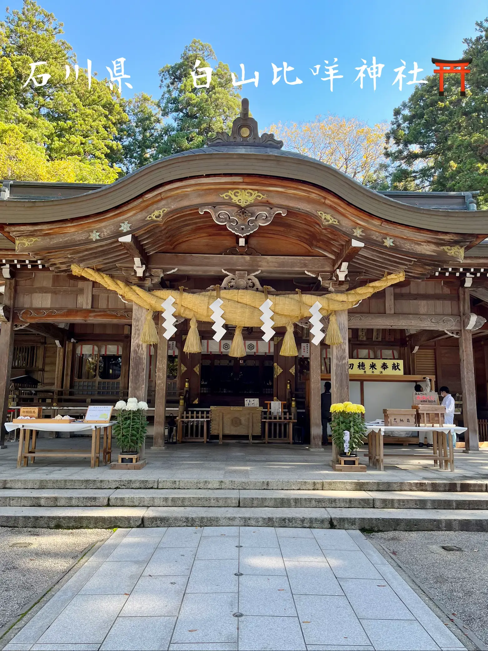 石川県 白山比咩神社⛩️ | yukiが投稿したフォトブック | Lemon8