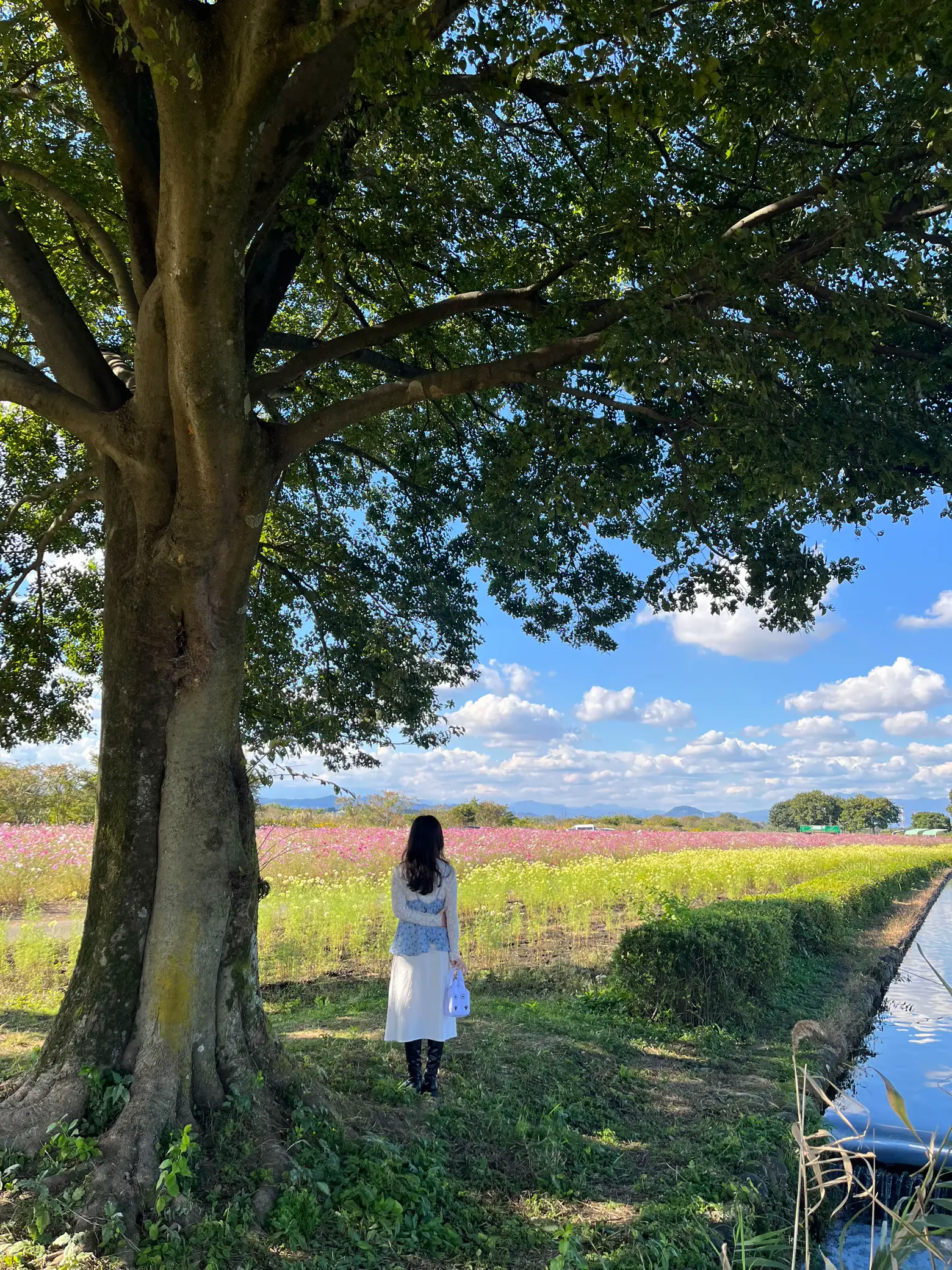 栃木県民のおすすめスポットシリーズ] 高根沢 鬼怒グリーンパーク 道と川の百選 | Rinrin1212が投稿したフォトブック | Lemon8