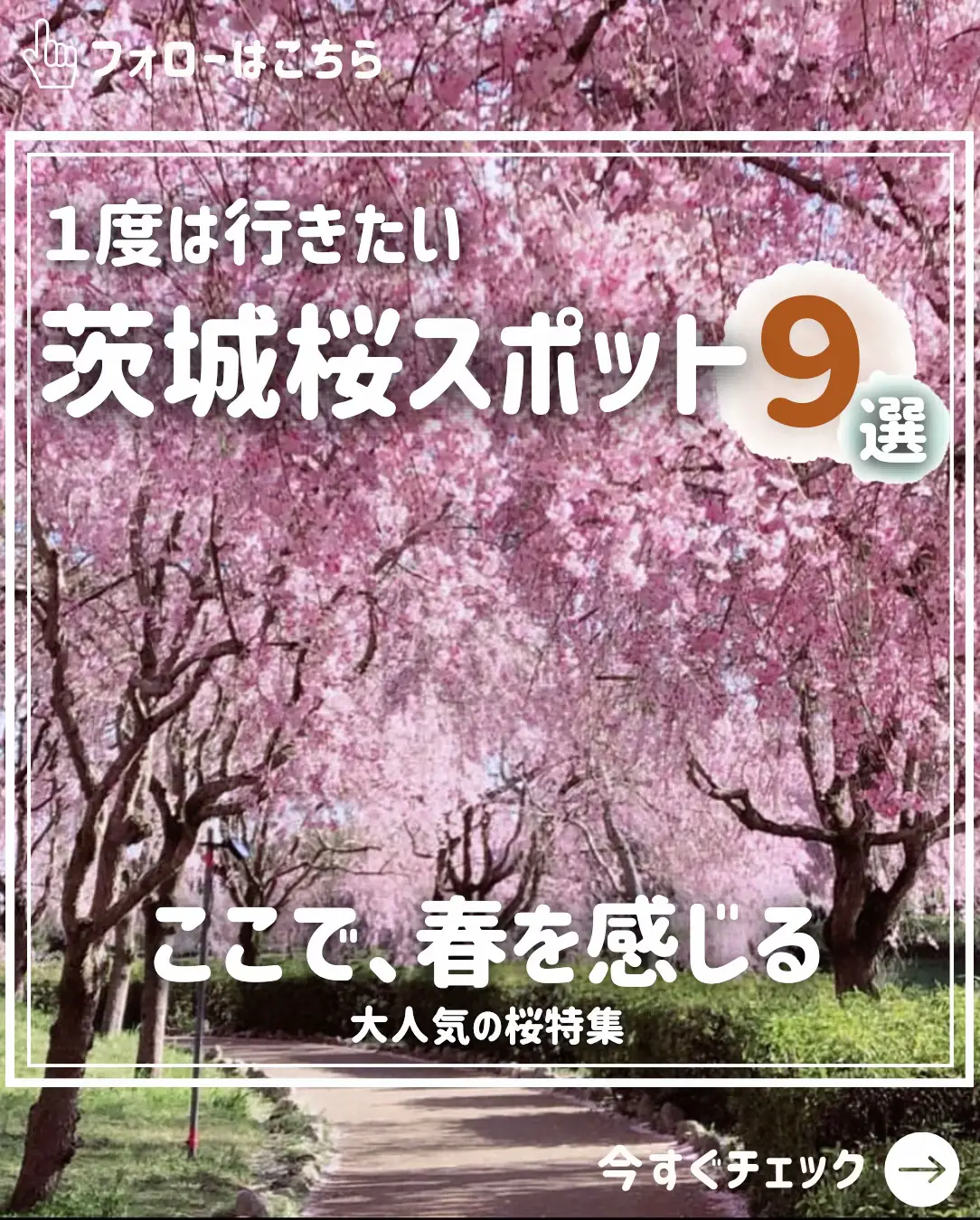 再販春色カラー《プリンセスに憧れて〜夢溢れる棚〜》シーグラス