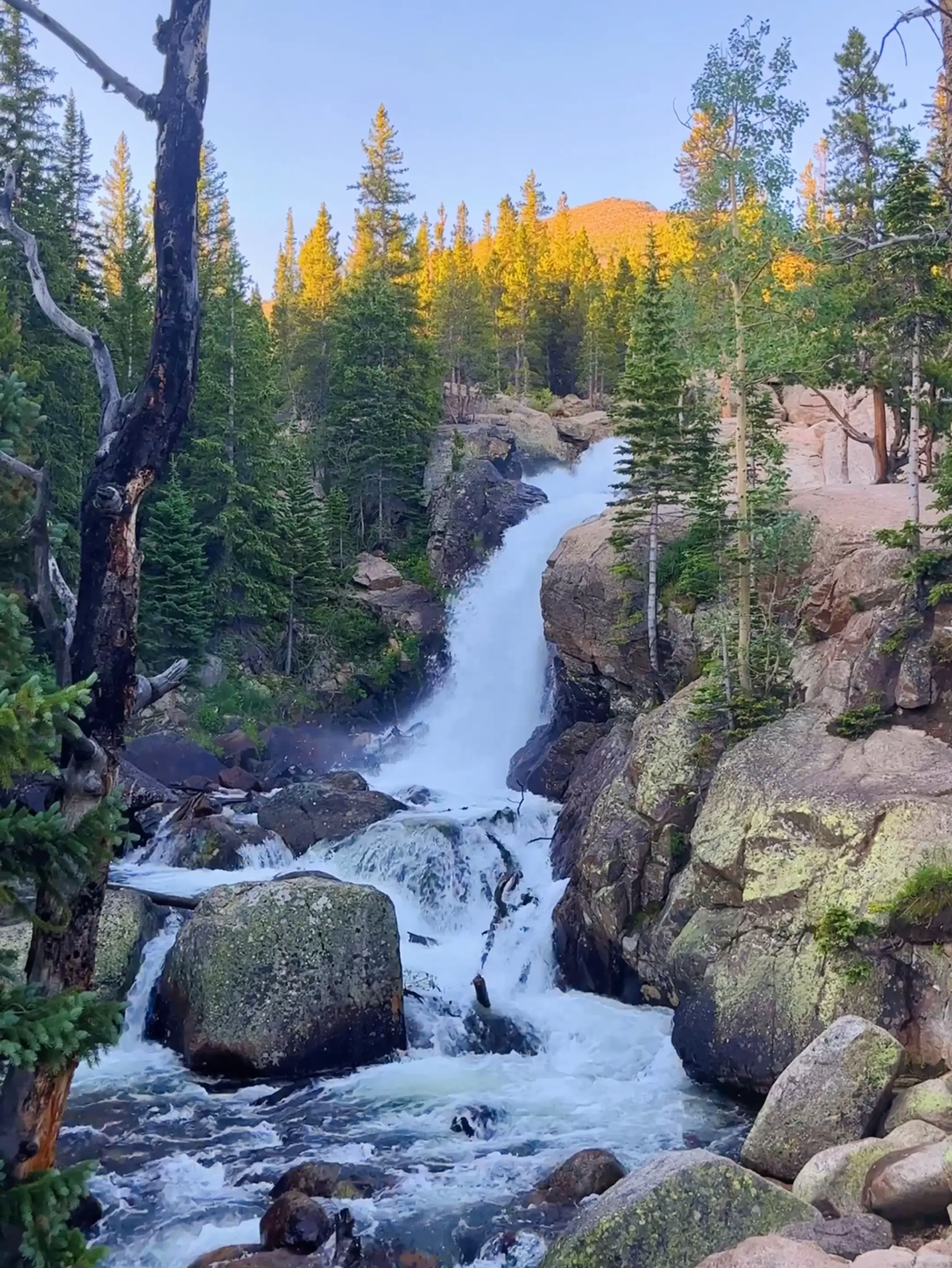 Alberta Falls | Rocky Mountain National Park