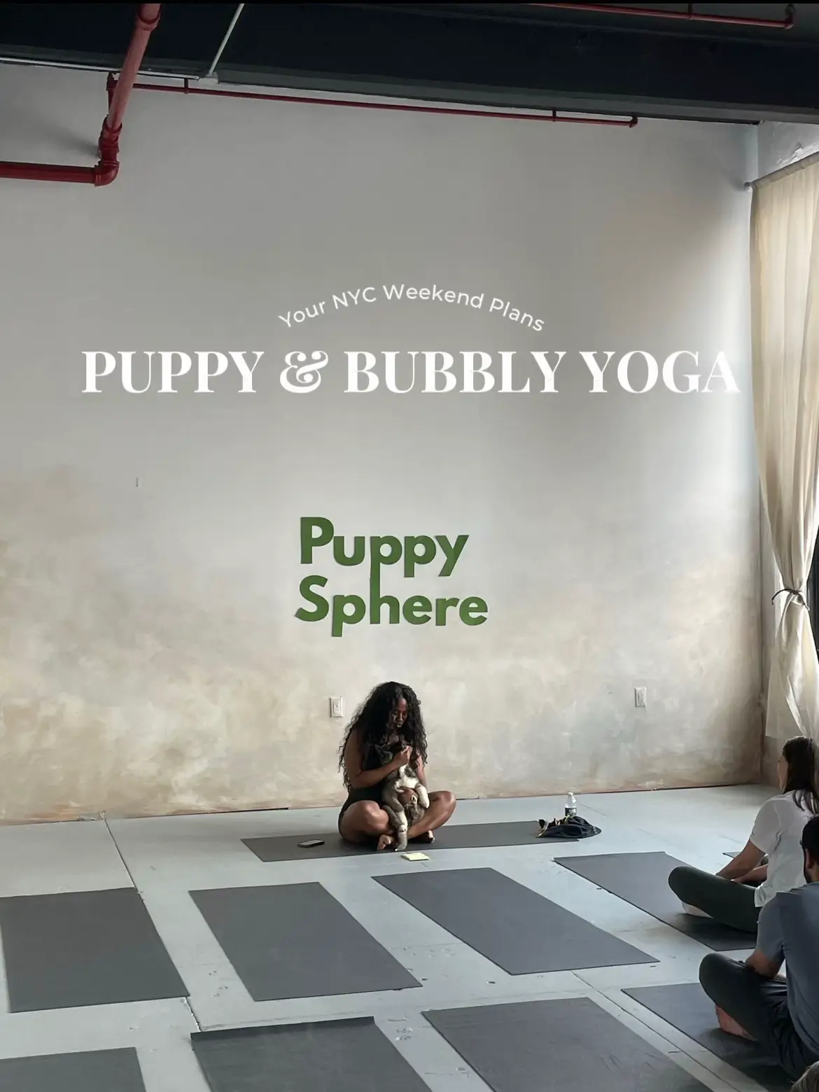 PUPPY & BUBBLY YOGA's images