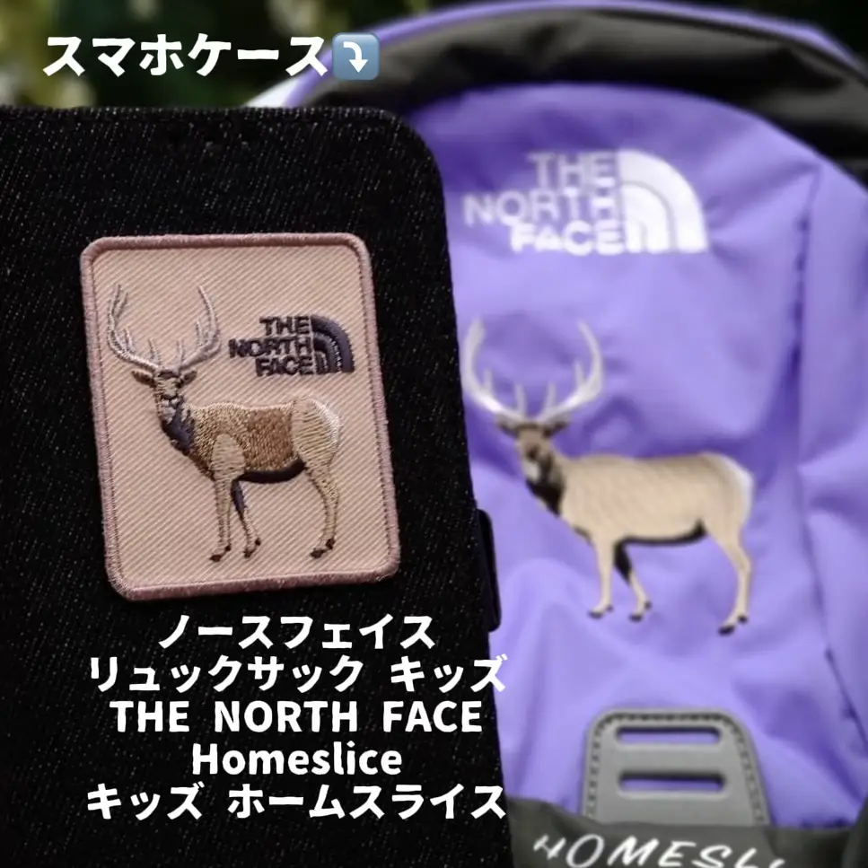 ノースフェイス リュックサック キッズ THE NORTH FACE K Homeslice おソロ | rimiereが投稿したフォトブック |  Lemon8