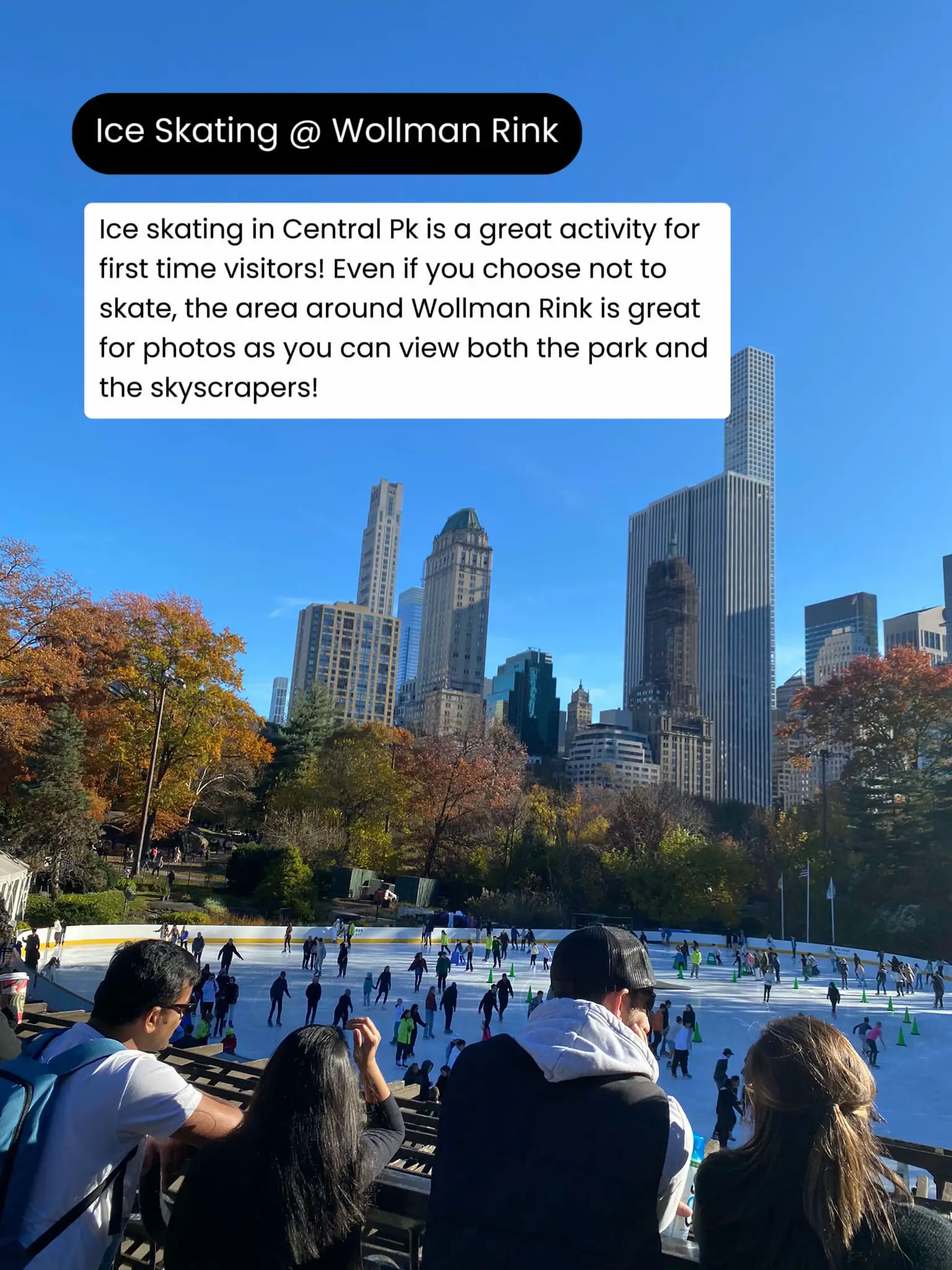 fall-foliage-in-central-park-things-to-do-gallery-posted-by-sunny