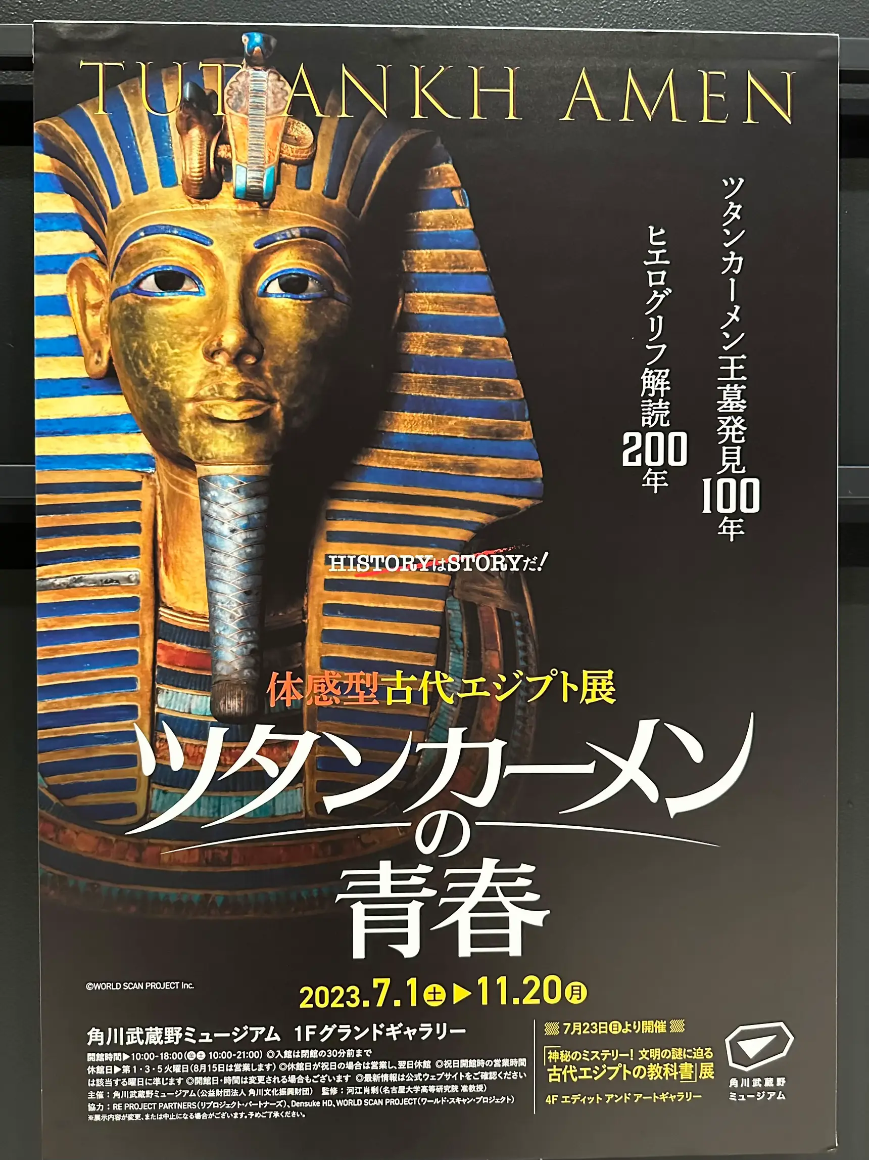 The Youth of Tutankhamun | Gallery posted by yuka☺︎ | Lemon8