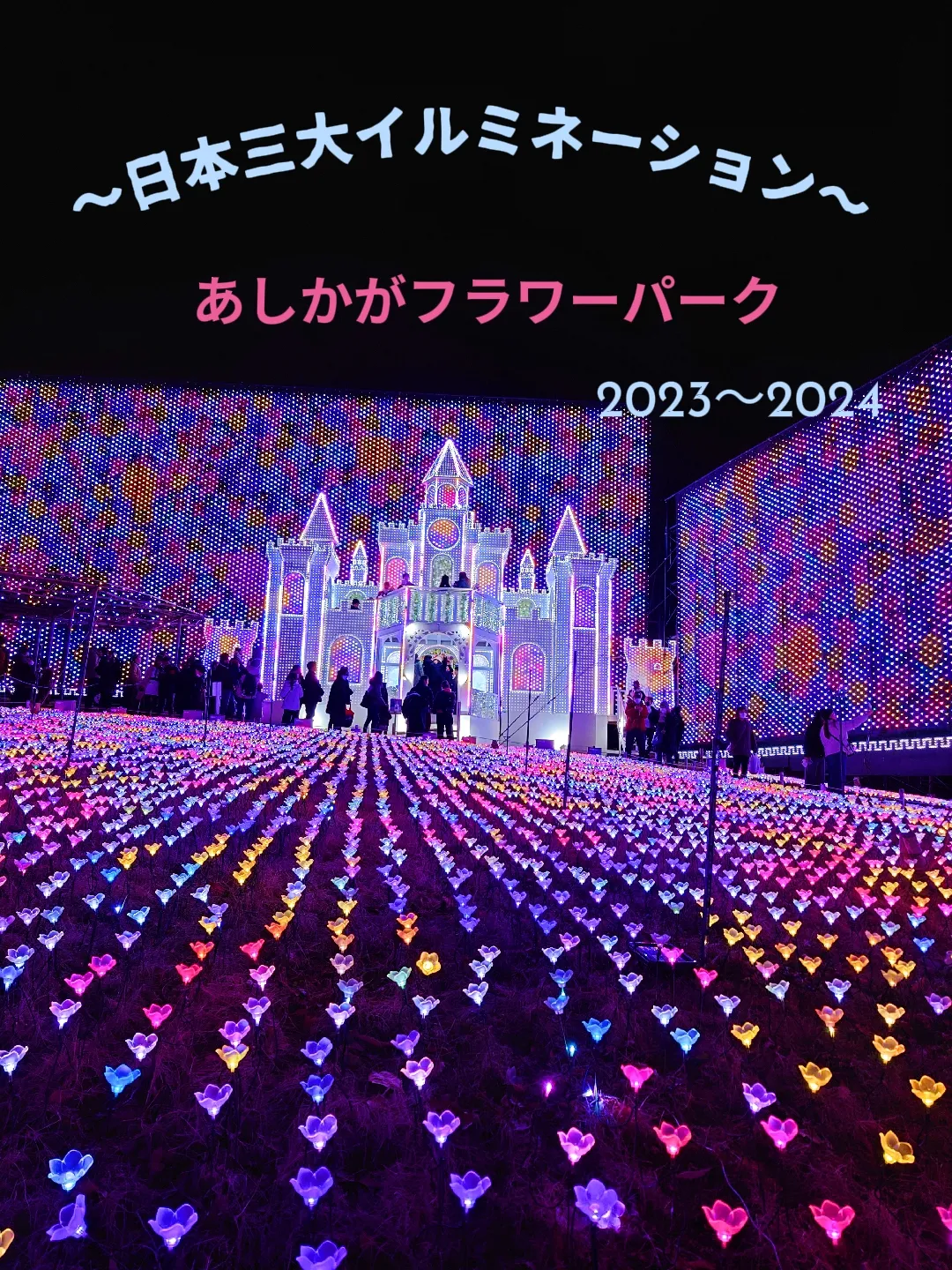 の卸・仕入れ 足あしかが利様 リクエスト 4点 まとめ商品 - まとめ売り