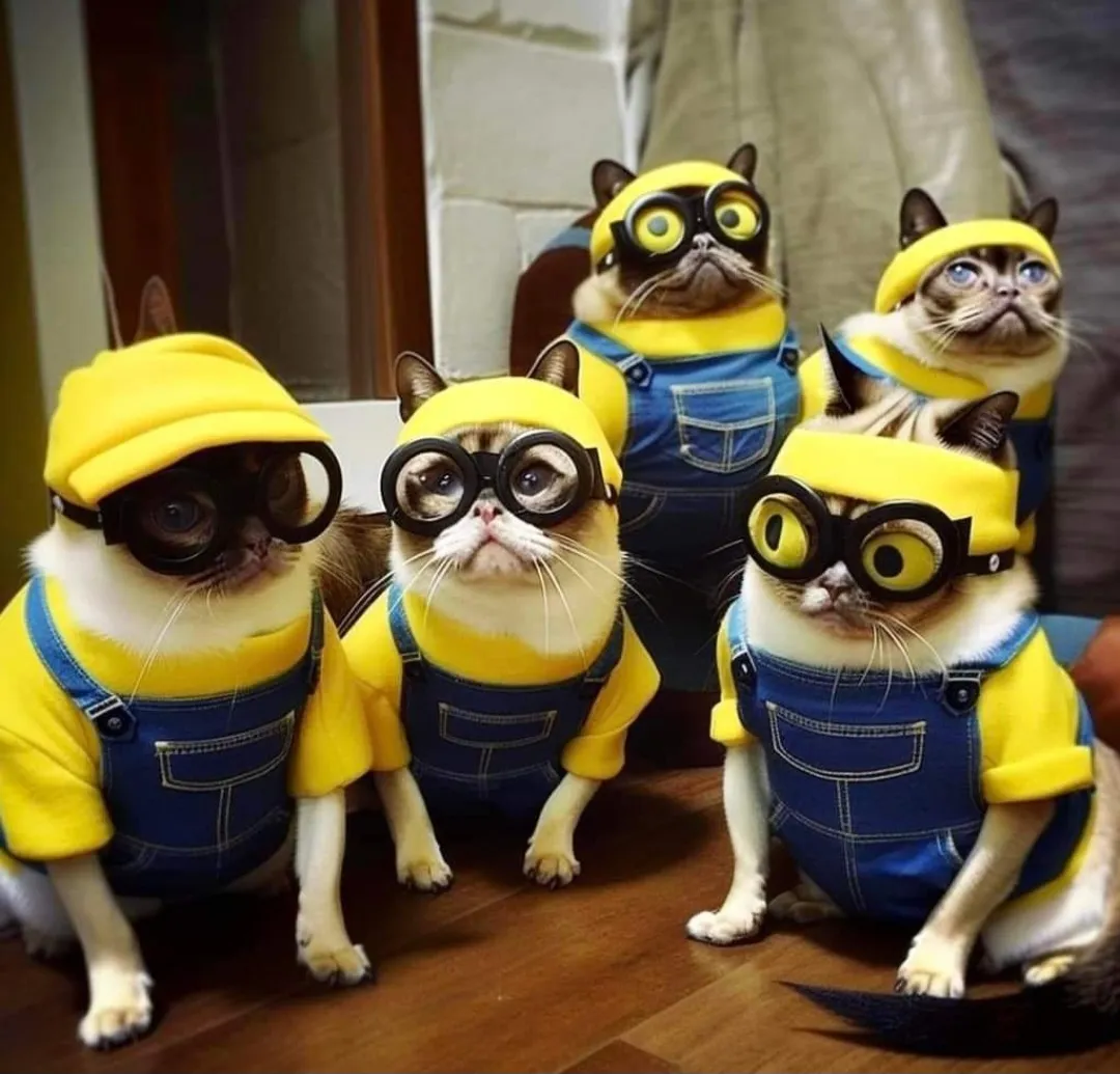 Cat on sale minion costume