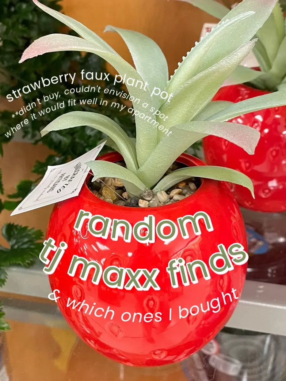 Affordable Home Decor  What's New at TJ Maxx - Strawberry Chic