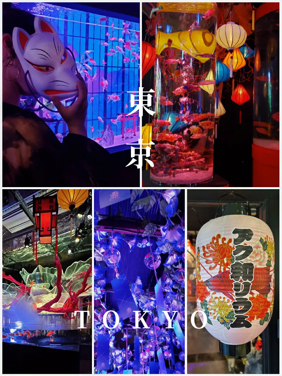 東京都お台場】雅〜GA☆KYO 魁、究極のアク和リウム | Crazymamaが投稿