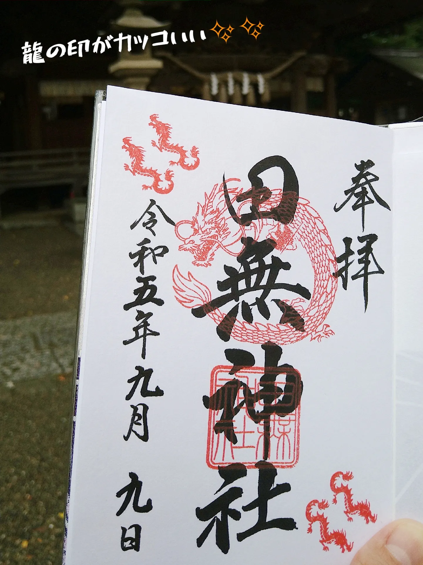 田無神社 】辰年🐲の今年に必ず伺ってほしい神社🌸 | 週末 御朱印旅⛩️が投稿したフォトブック | Lemon8