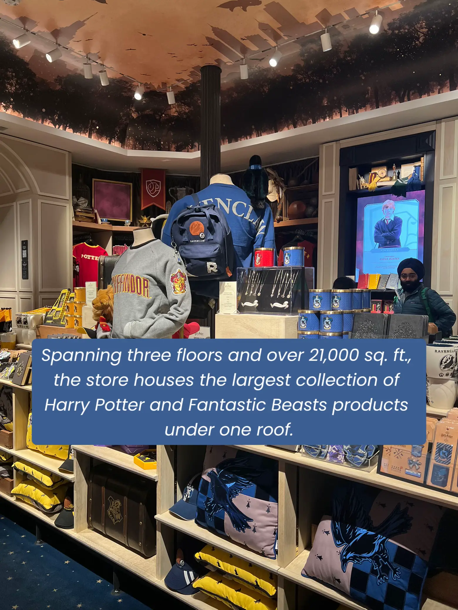 Harry Potter Store in New York - Lemon8 Search