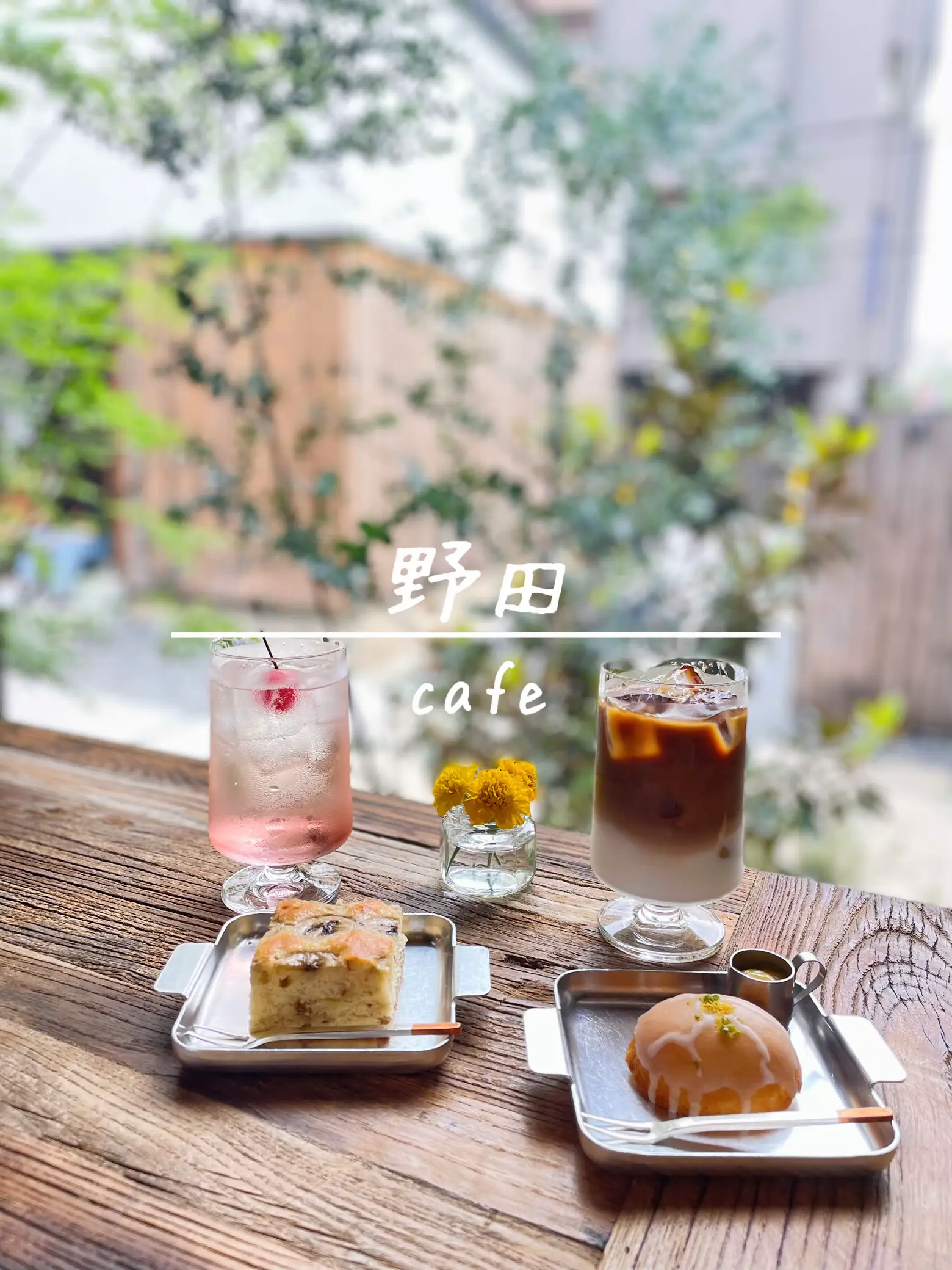 映える緑が素敵な古民家カフェ☕️🌿【野田】 | 🐨グルメの