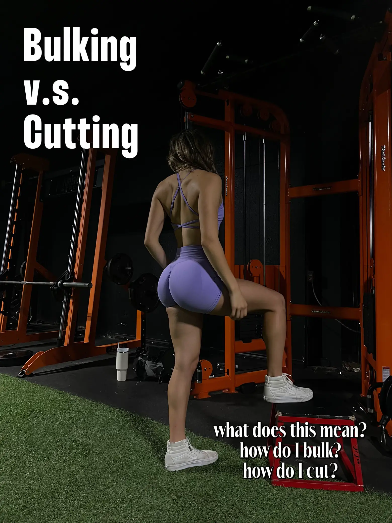 Bulking vs. Cutting