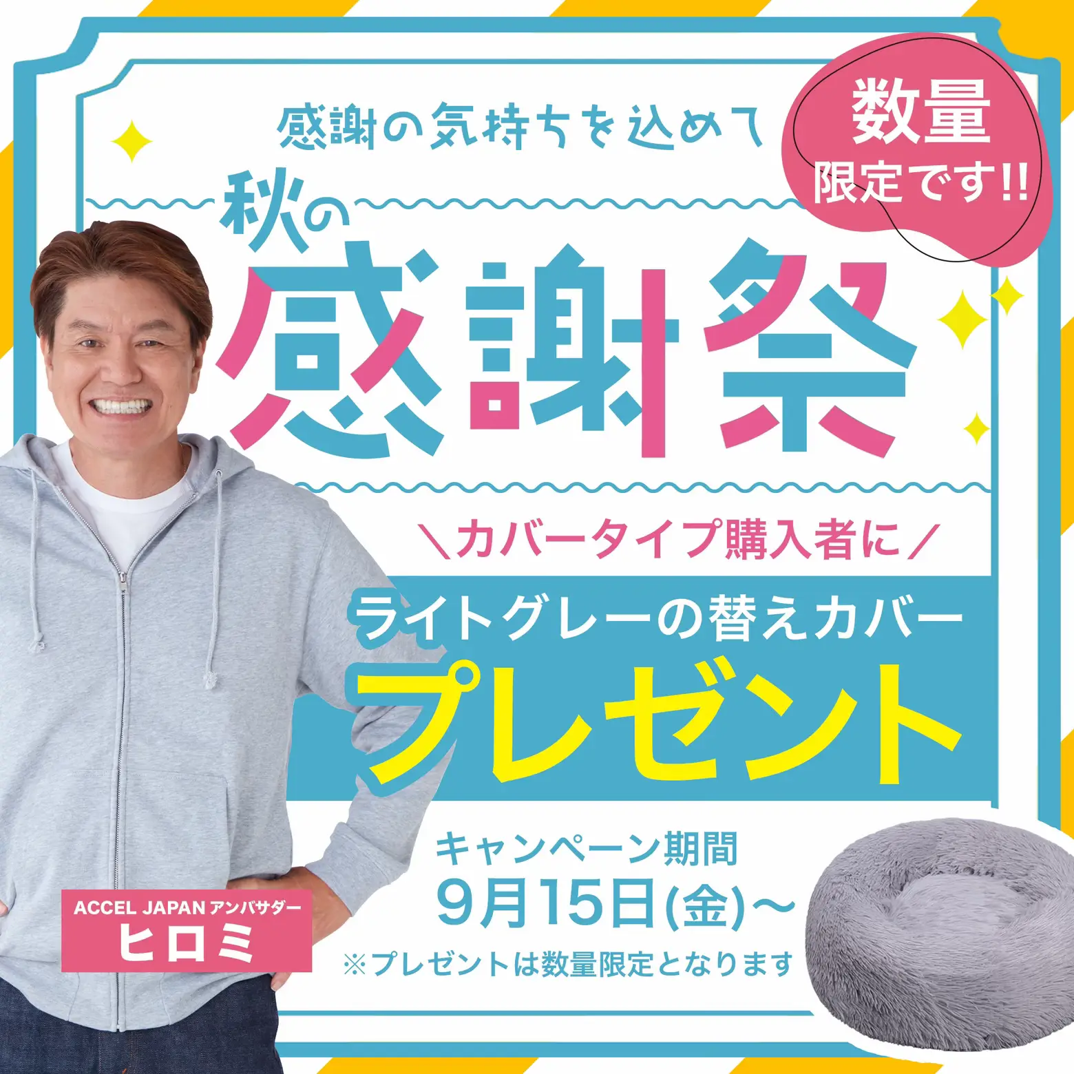 If you purchase a marshmallow cushion bed for a limited time, you