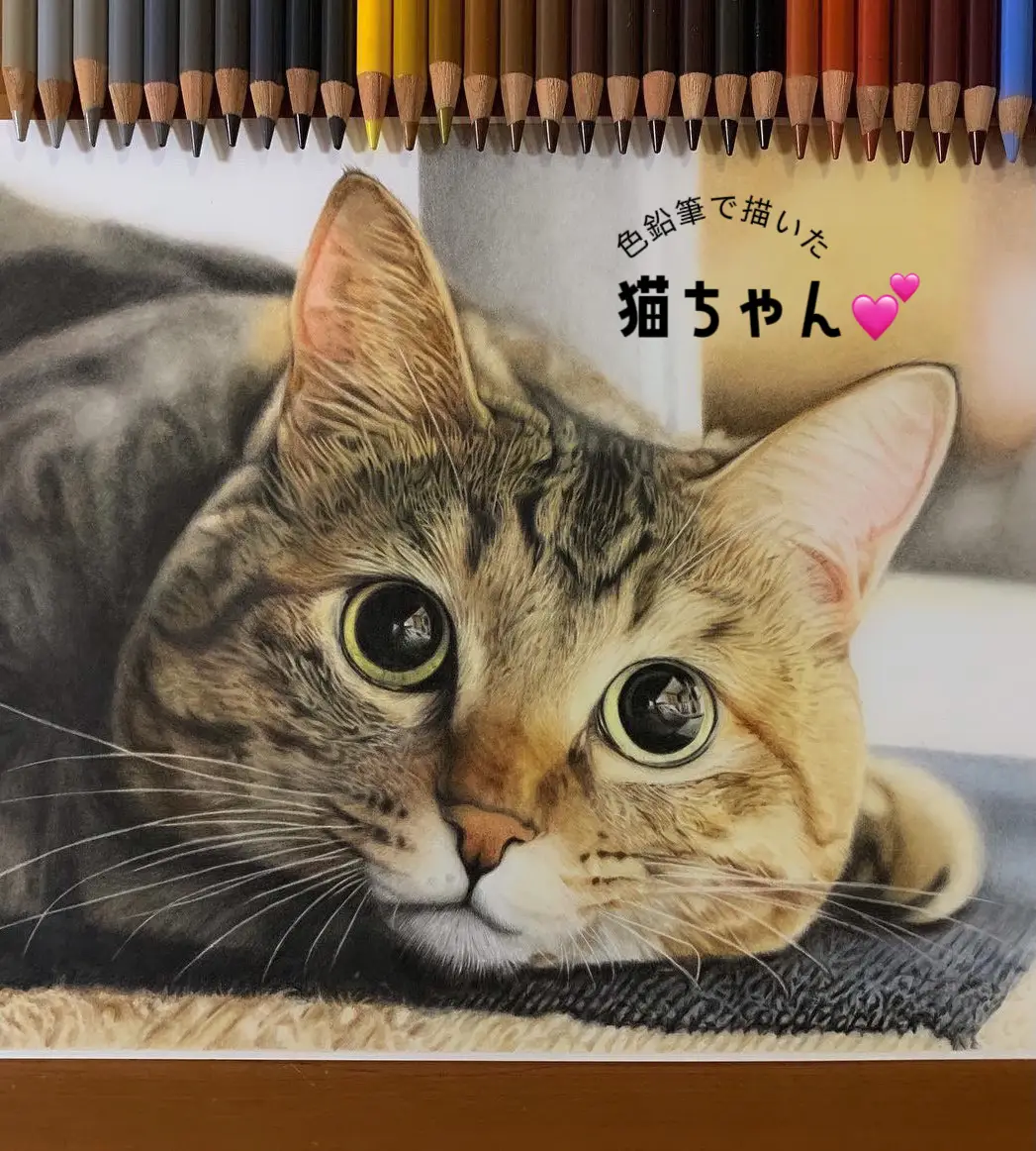 色鉛筆で描いた猫ちゃん💕 | ここまるが投稿したフォトブック | Lemon8