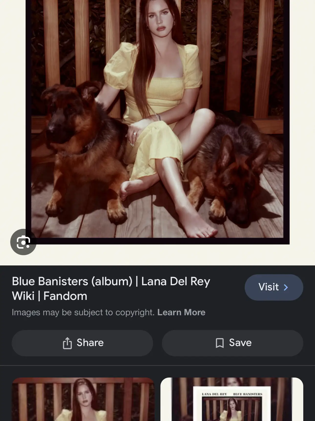 Lana Del Rey Top Albums - Lemon8 Search