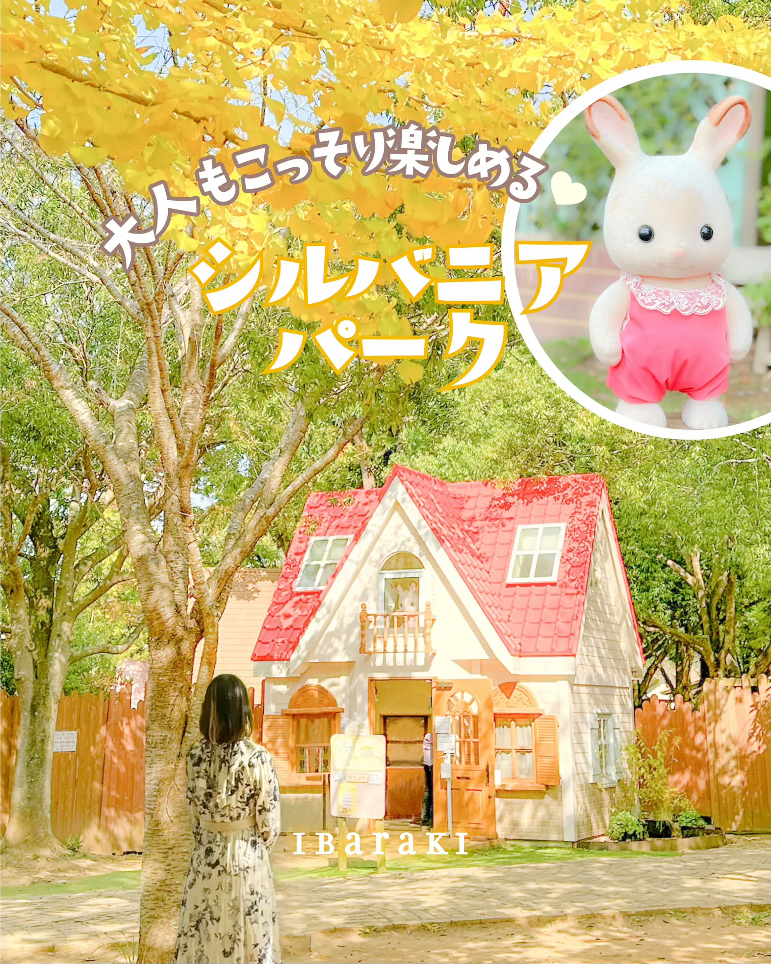 Sylvanianfamily - Lemon8検索