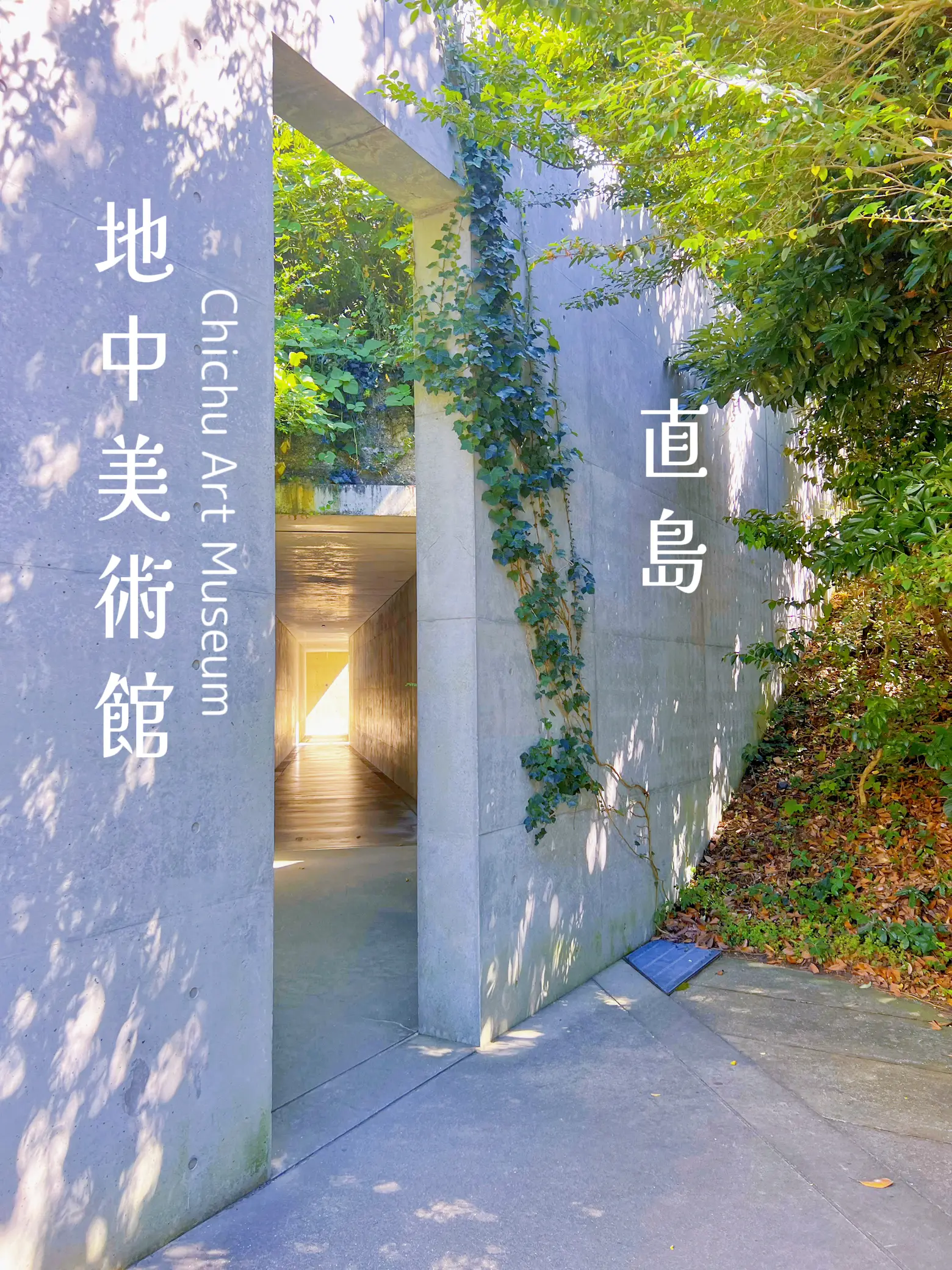香川】直島✨景観を守るため建物の大半が地下に埋設された大人気の
