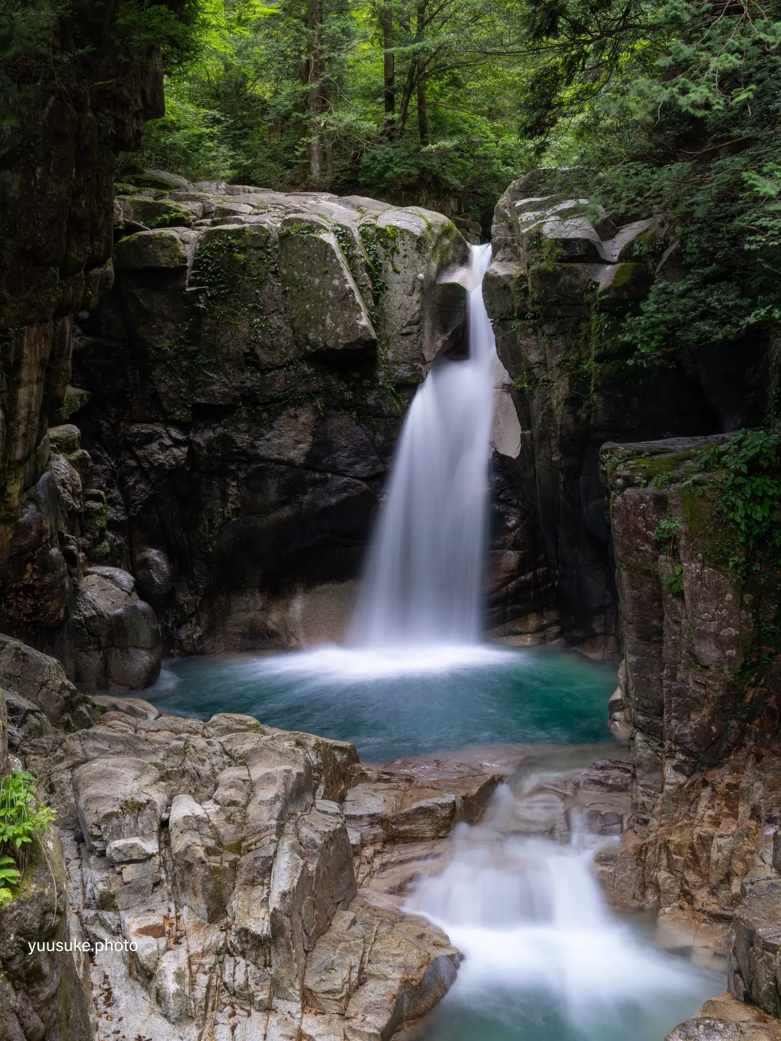 Ghibli world view 🐉💛 White dragon appeared from the waterfall 