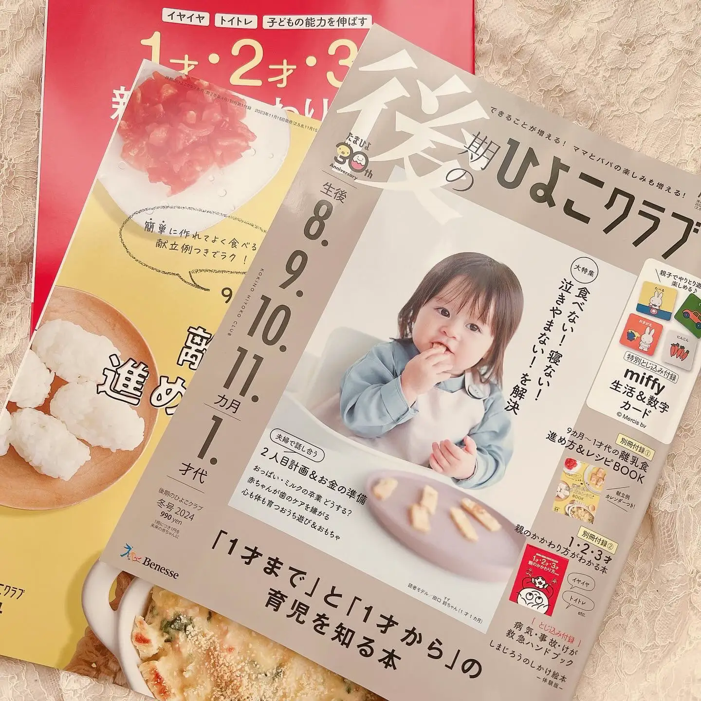 正規通販商品 2冊 子育てハッピーたいむ 2ななとひよこの楽しい毎日