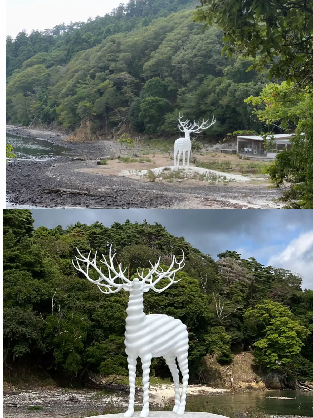 牡鹿半島 真っ白な…鹿『ジブリの世界』 | だだっこ豆が投稿したフォト