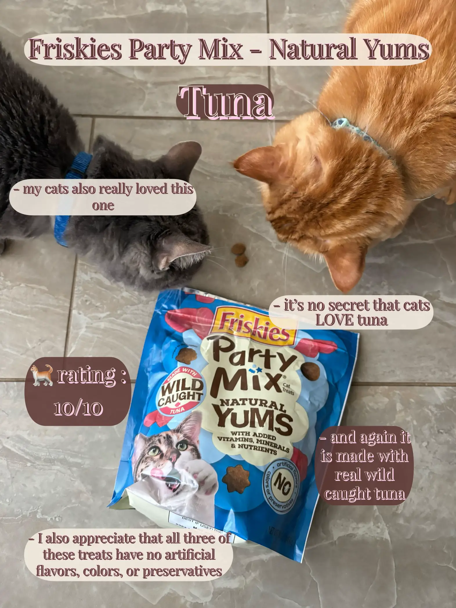 HONEST Review of Friskies Party Mix Natural Yums Gallery posted by