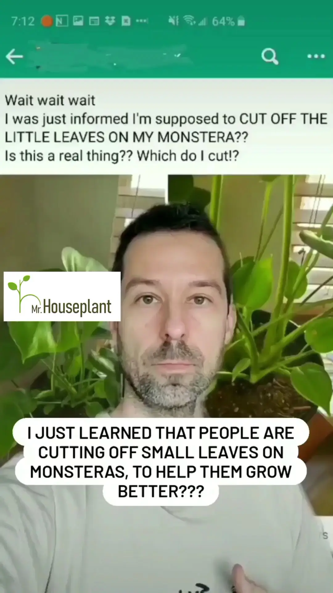 monstera-cutting-off-small-leaves-video-published-by-mr-houseplant