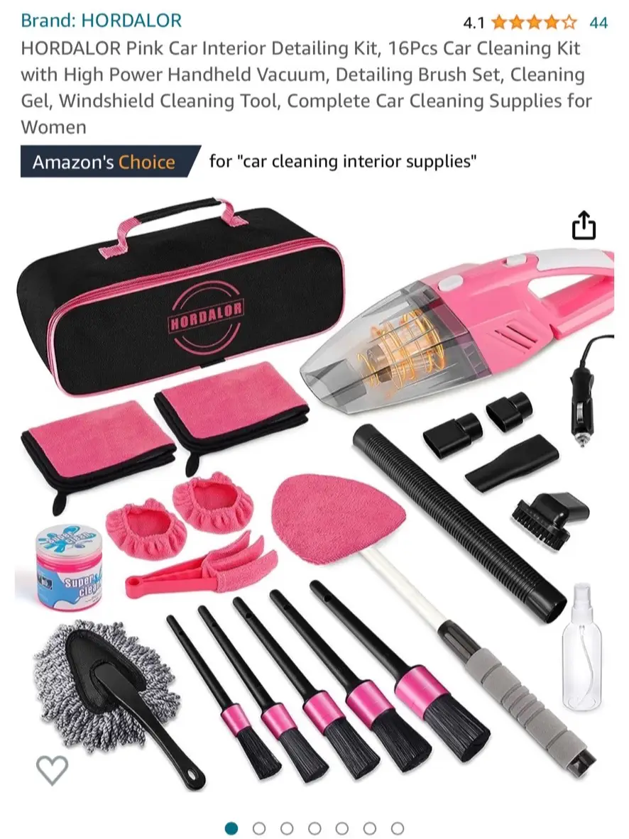 THINKWORK Pink Portable Vacuum Kit, Car Cleaning Kit with 8000PA