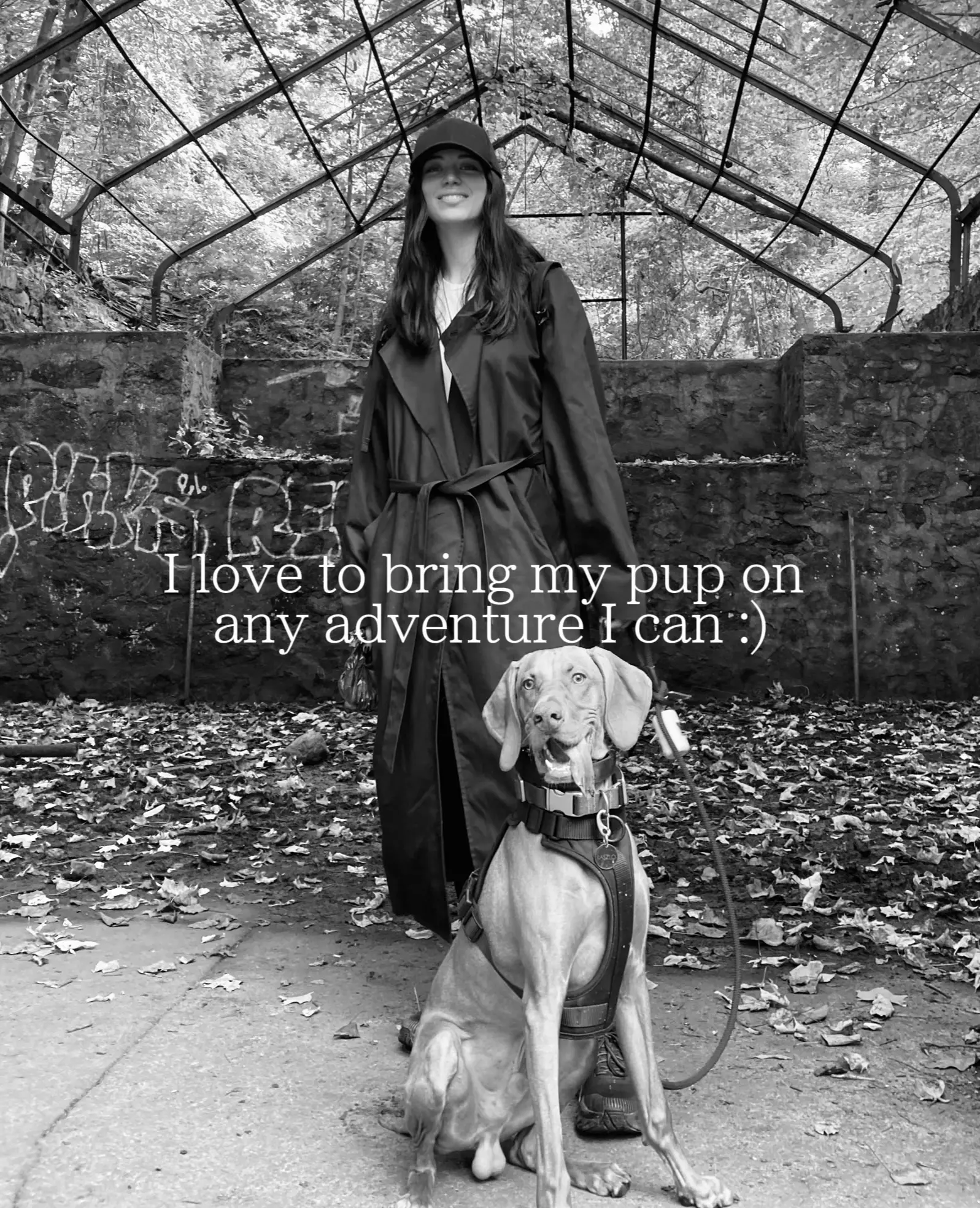 THE BEST PLACES TO TAKE YOUR PUP! Gallery posted by Kailee McKenzie