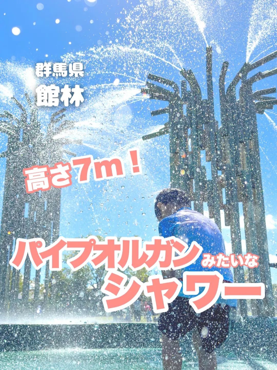 エクストラ ポジティブ オルガン型 ポジティブ オルガン