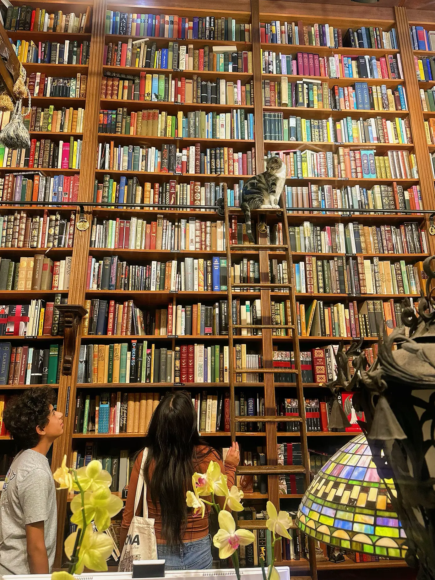 20 top Best Bookstore in South Florida ideas in 2024