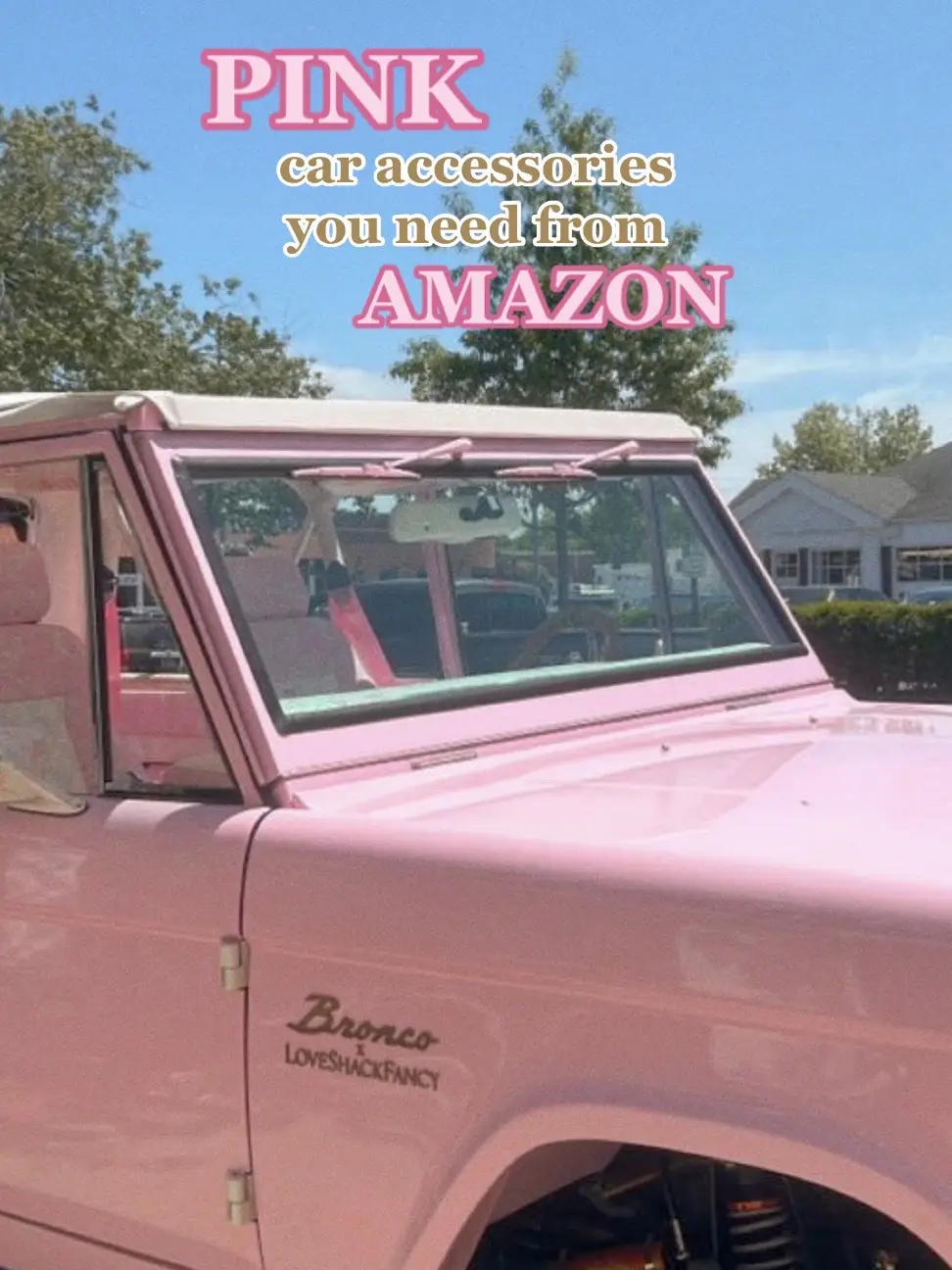 Vintage Pink Bronco - Spotlight on the LoveShackFancy Bronco