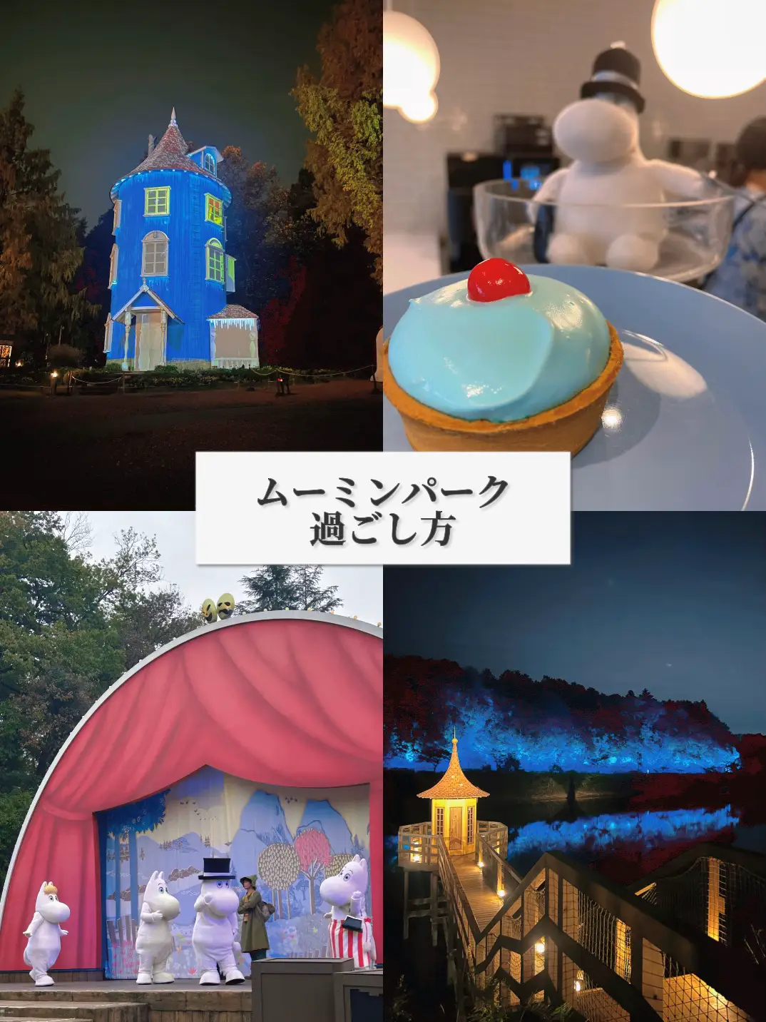 飯能】ムーミンバレーパーク 1日満喫コース | なぎさ|東京発✈️大人