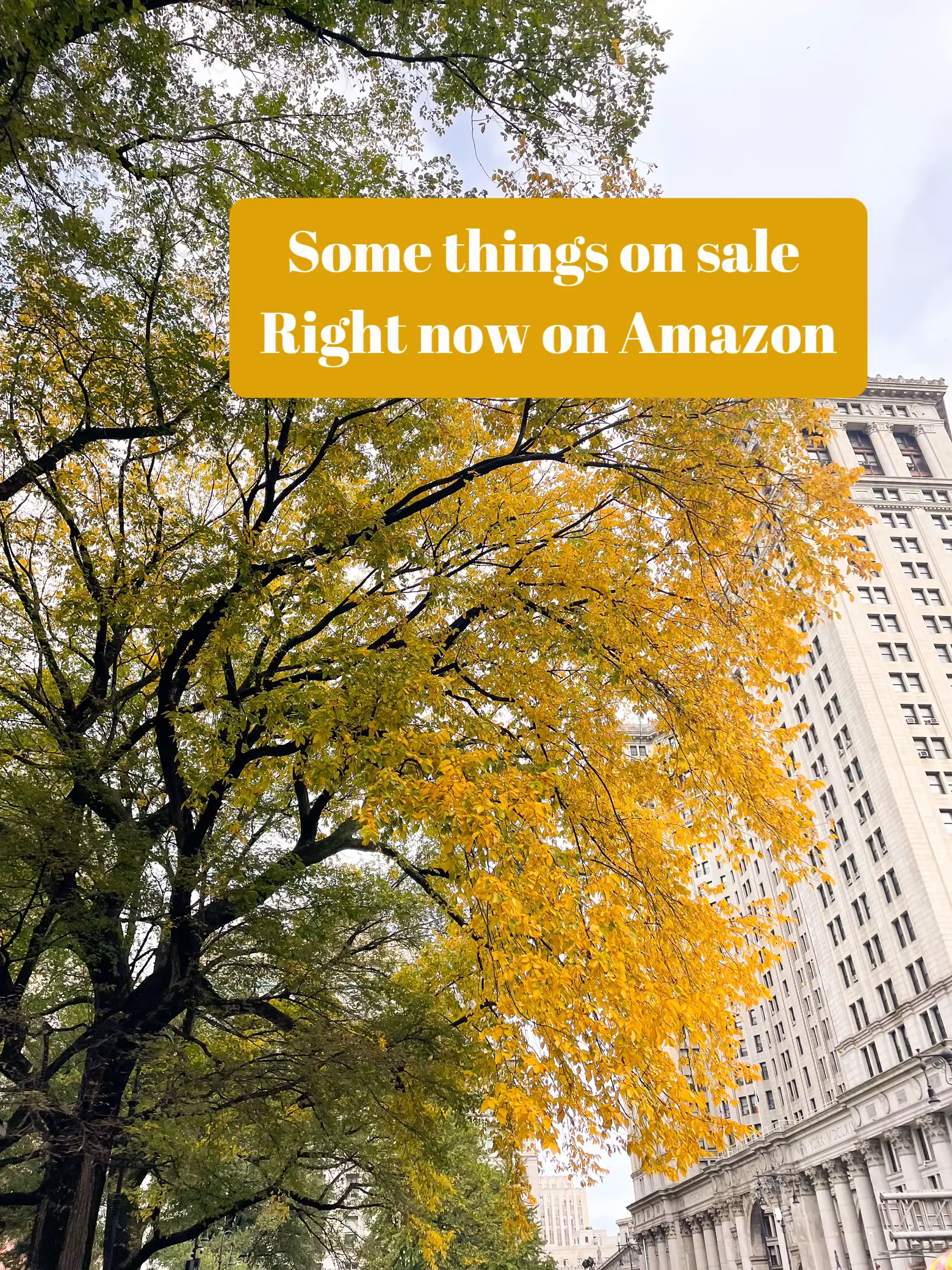 some-things-on-sale-right-now-on-amazon-cassidy