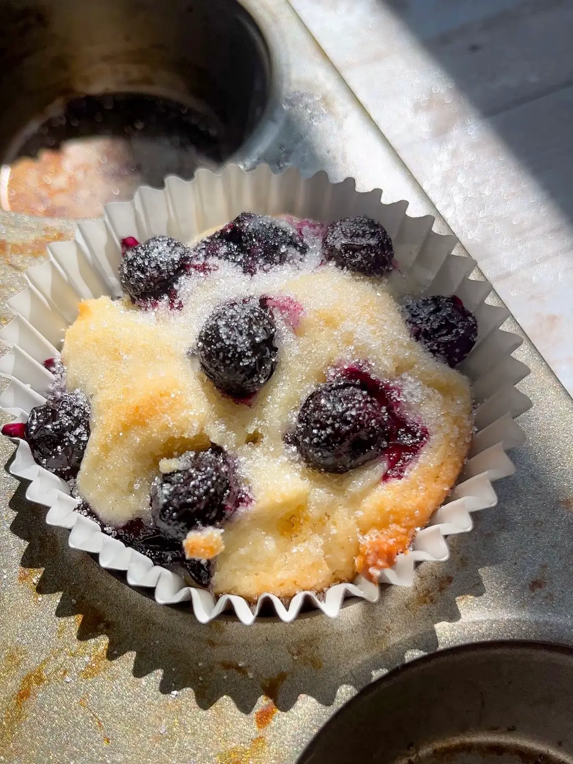 Crumb Topped Mini Blueberry Muffins Recipe - Emily Laurae