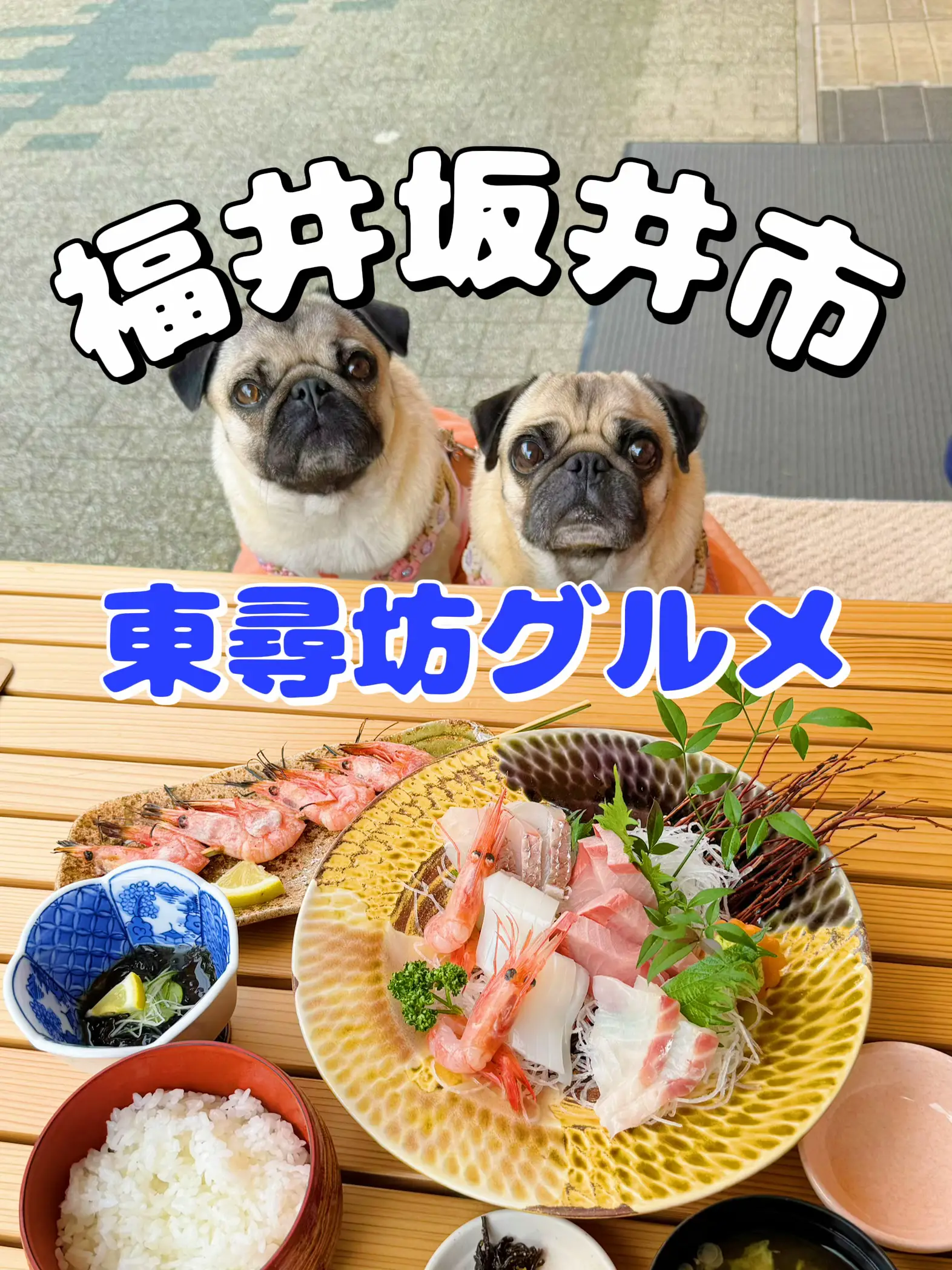 東尋坊グルメ🐶「やまに水産」 | パグのももこ🍑ぷっち🍎です🐾が投稿したフォトブック | Lemon8