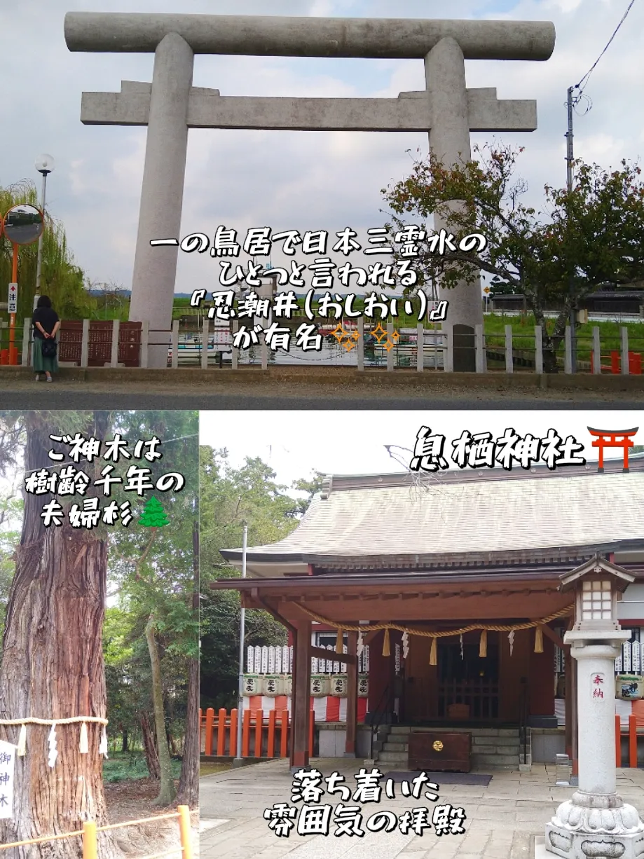 東国三社守り 鹿島神宮・香取神宮・息栖神社 大願成就 お守り - 季節/年中行事