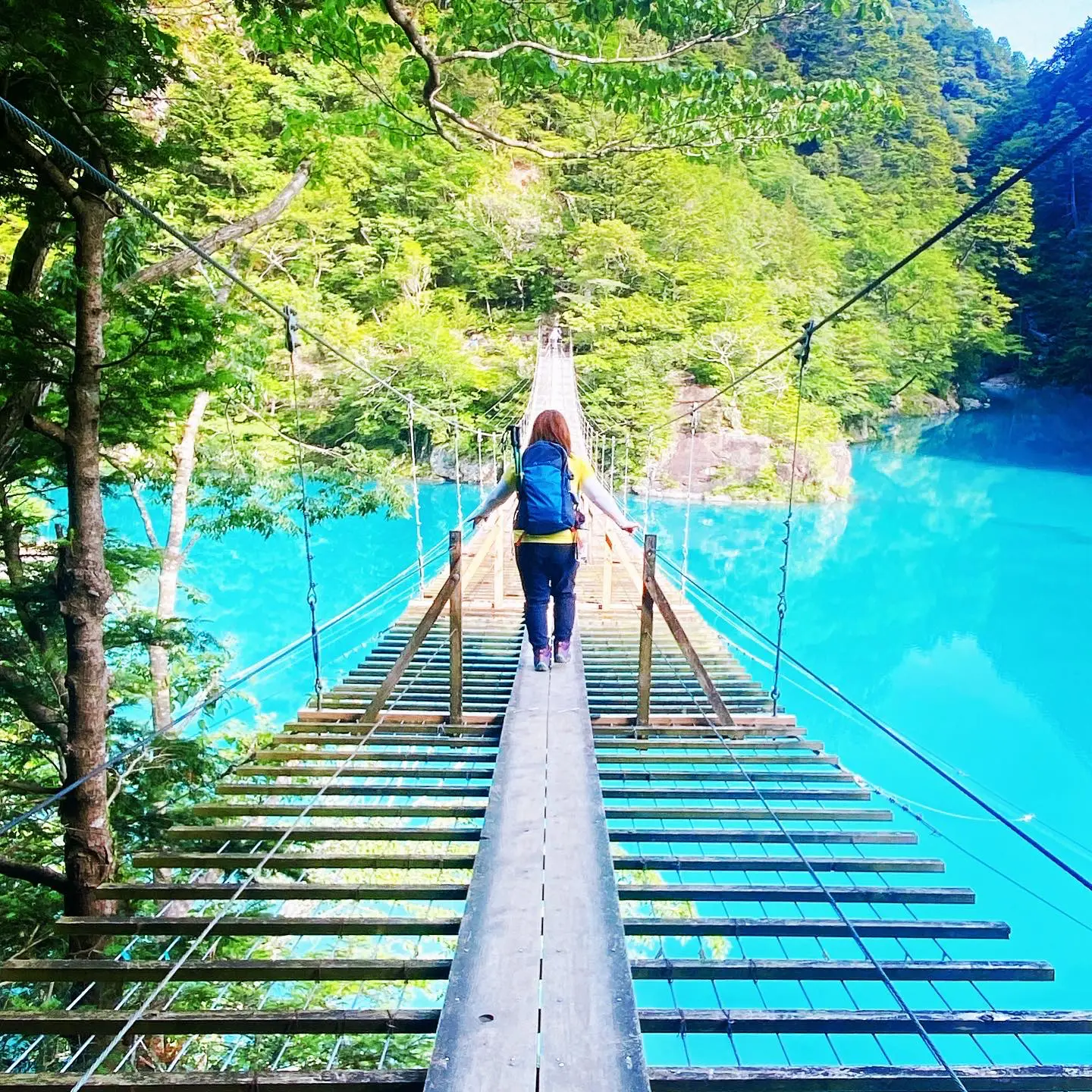 野外露出 吊り橋 