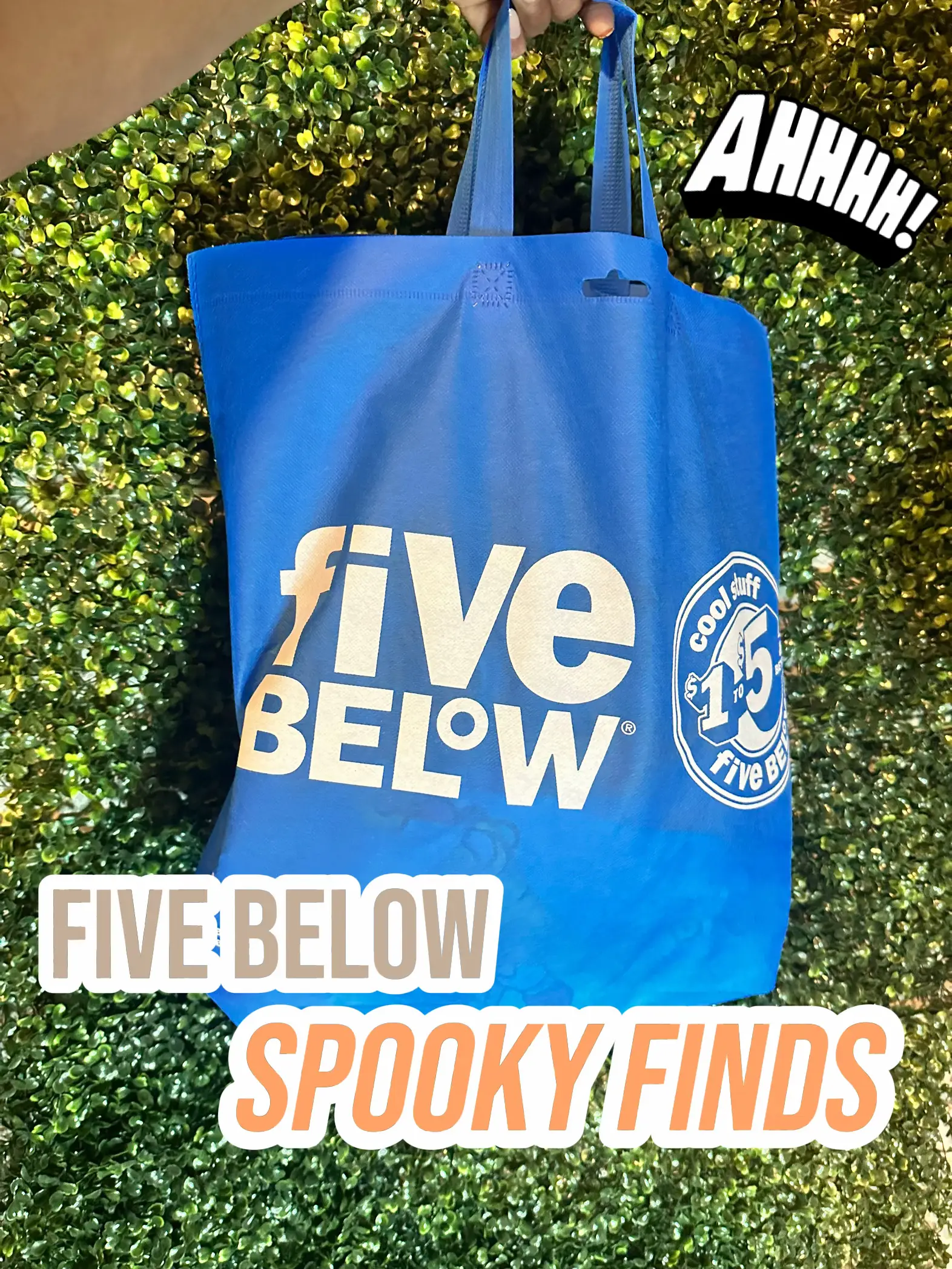 Spooky Five Below Finds, Gallery posted by Griselda