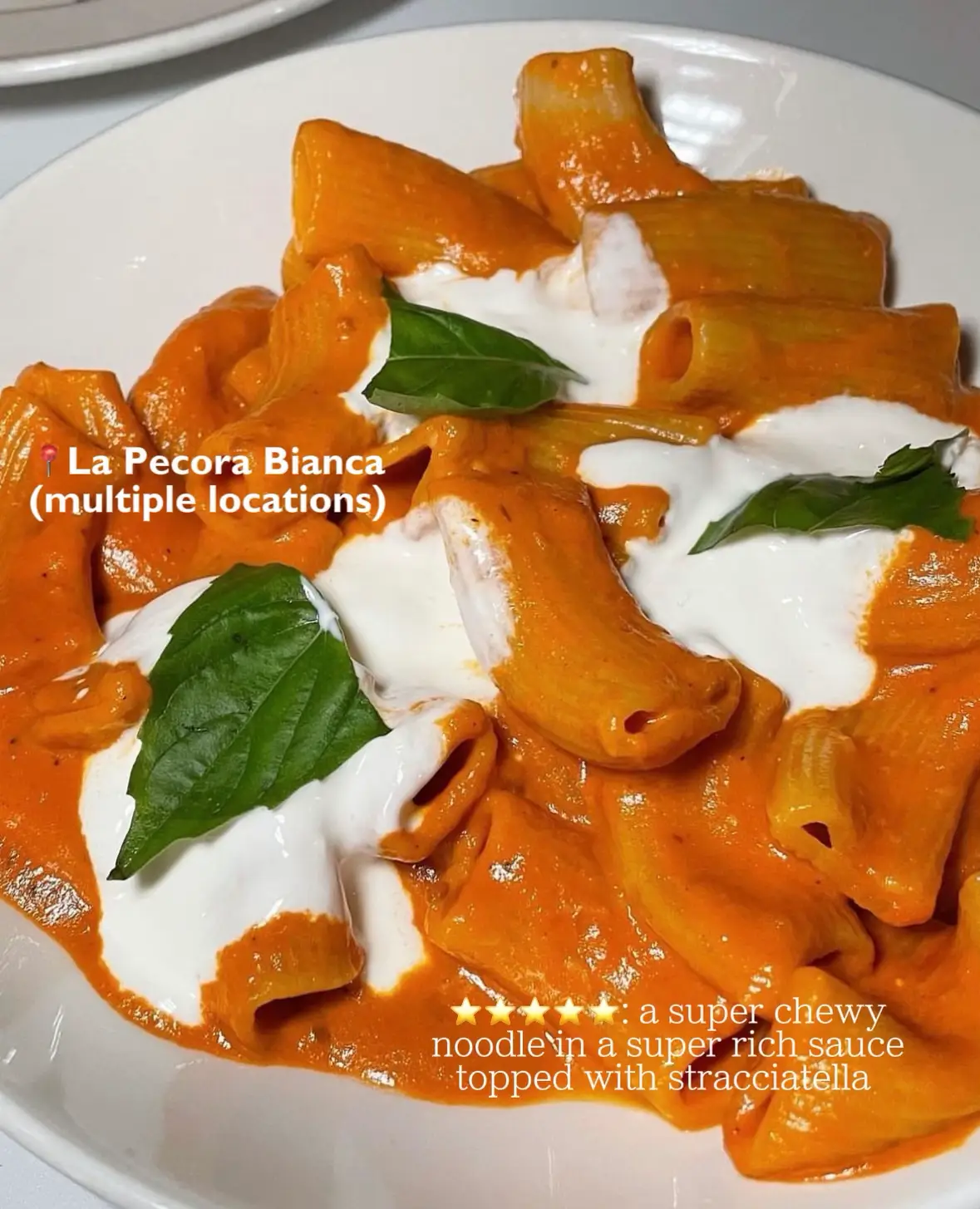 4 SPICY RIGATONI DISHES TO TRY IN NYC! Gallery posted by Rachel B