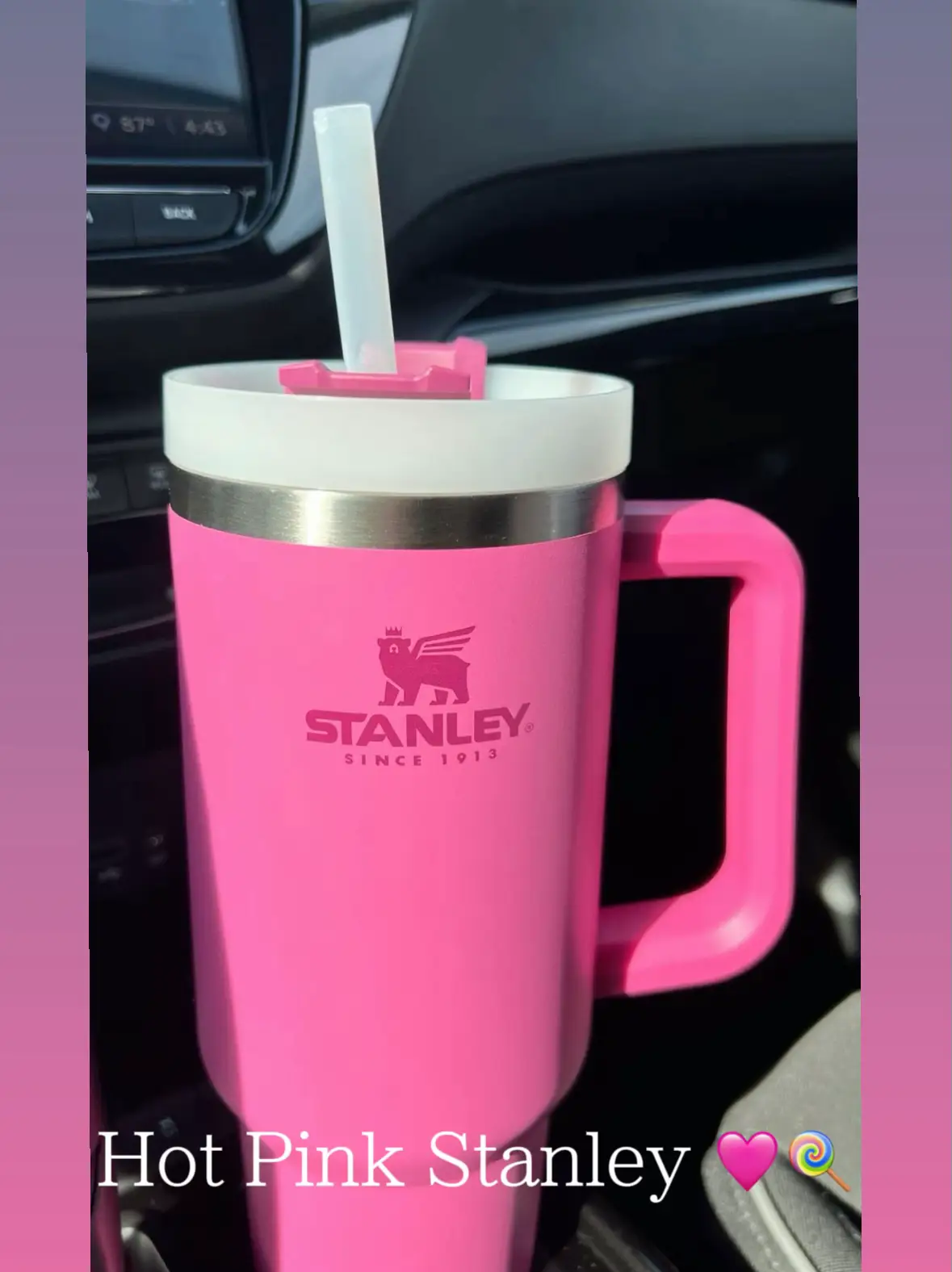 Stanley 40oz Pink Parade 💞🛍️🎀✨, Gallery posted by Cassie Stone