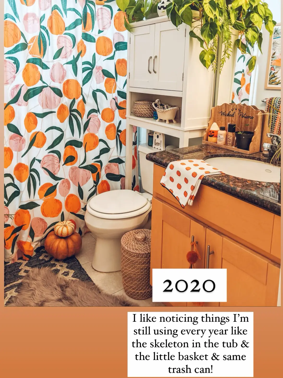  A kitchen with a sink, toilet, and a potted plant.
