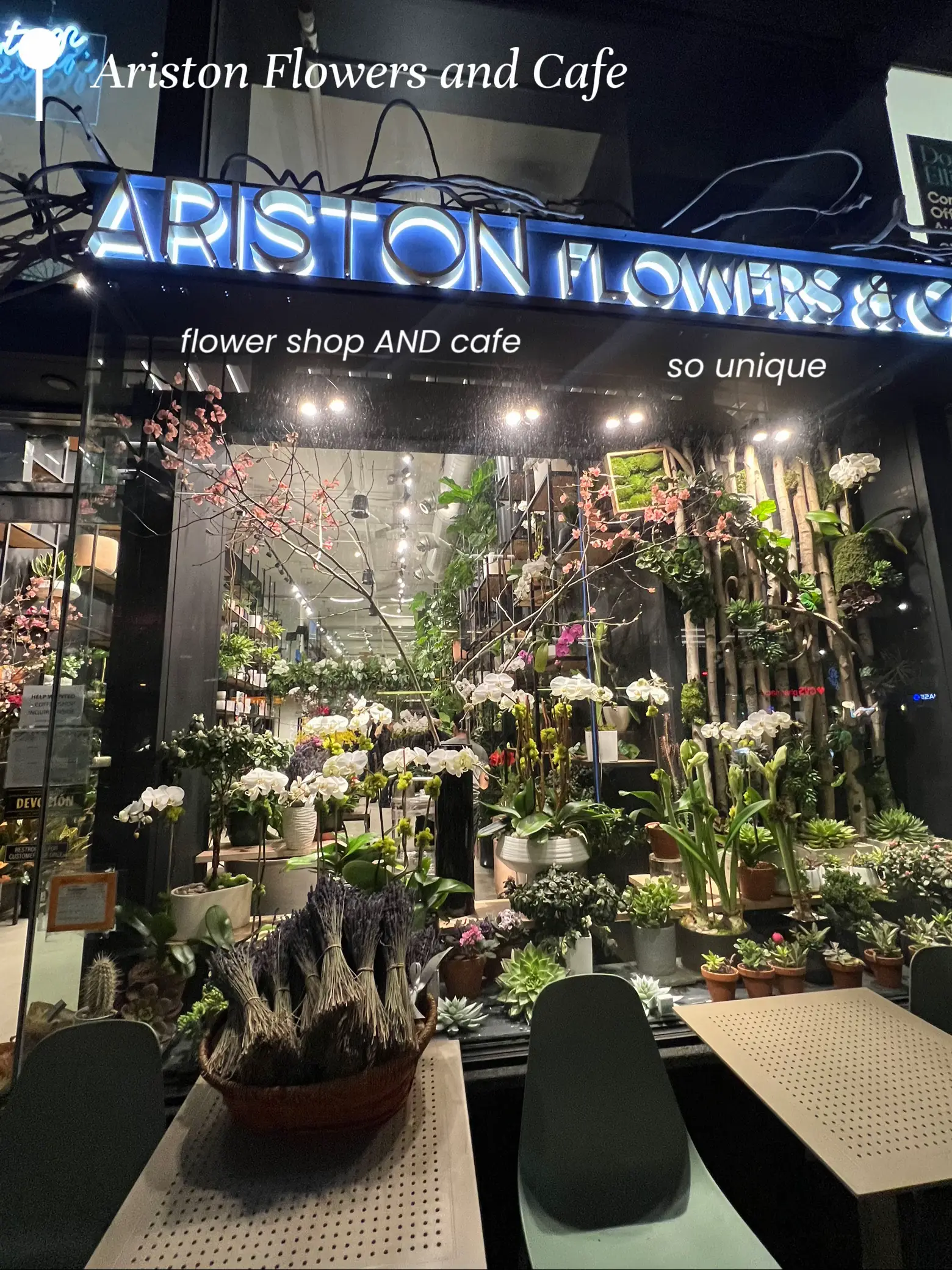 Ariston Cafe Flowers Lemon8 Search