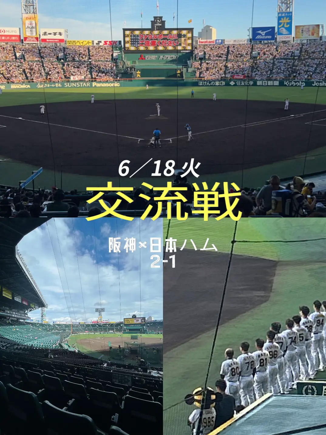 7/31（水）阪神タイガースvs巨人 甲子園 レフト外野席2枚 緩く