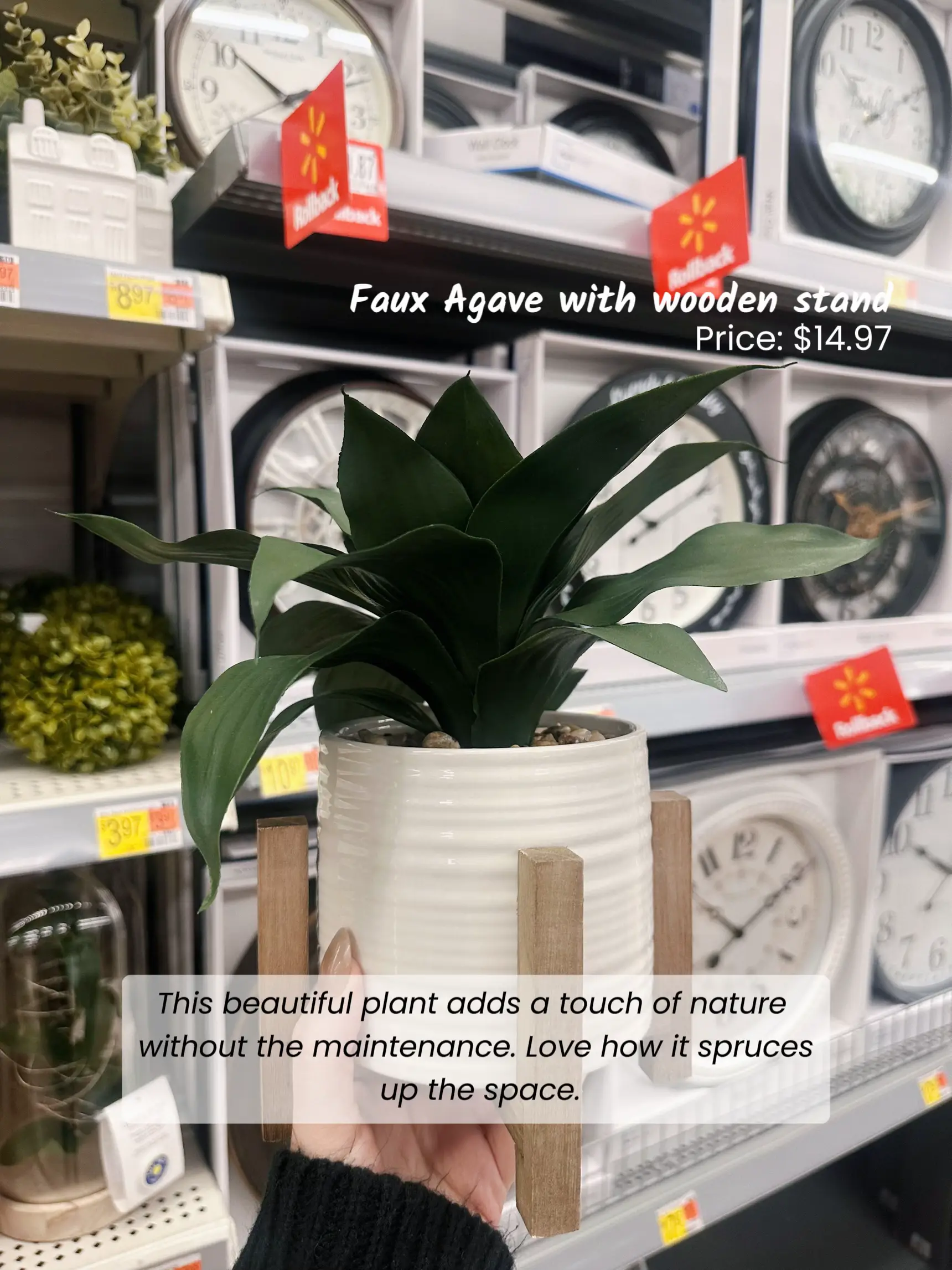 FEJKA planta artificial, int/ext bonsai, 16 cm - IKEA