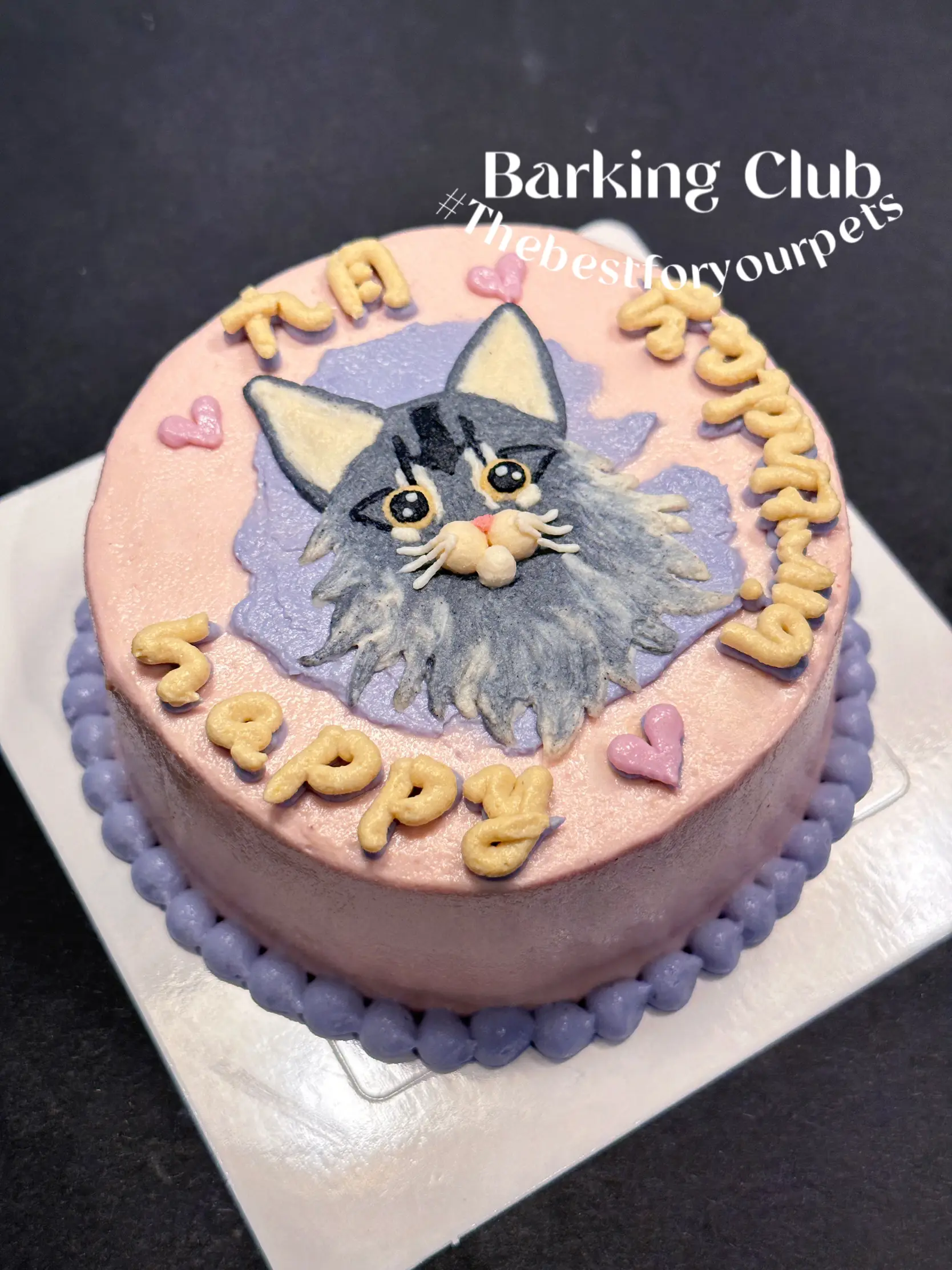 🧁Does your dogs/cats get birthday cake like these? | Gallery posted by  Barking Club | Lemon8