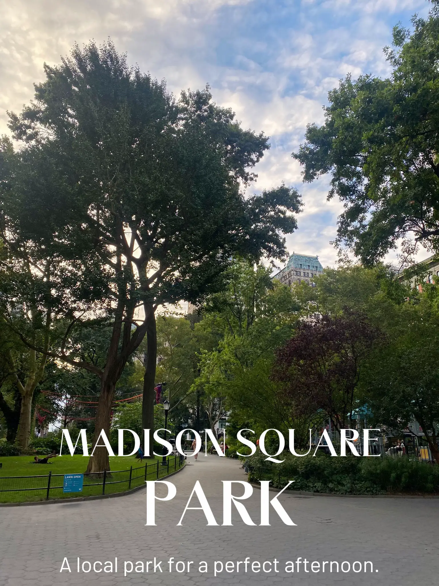 Madison Square Park 's images