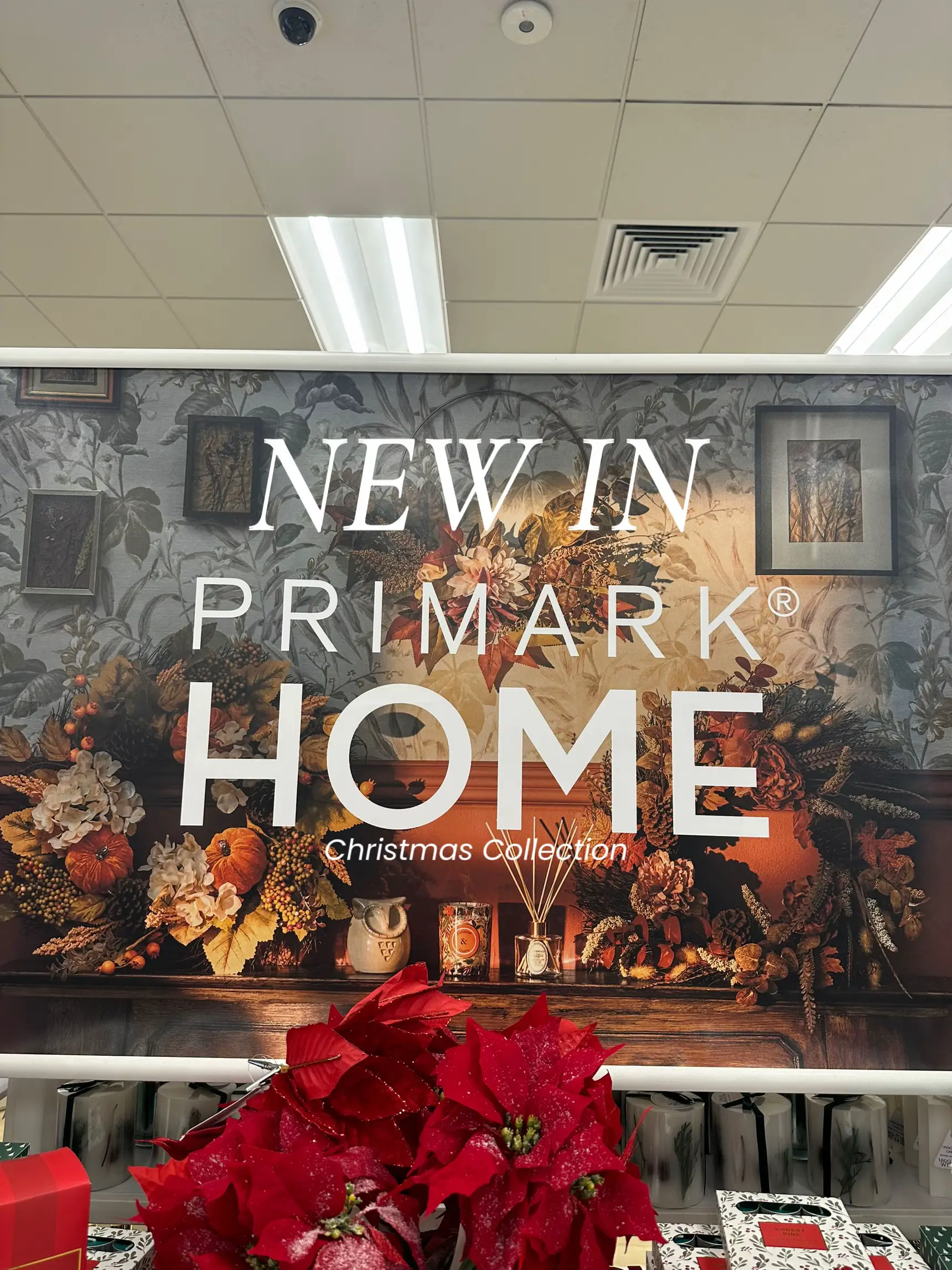 It's beginning to look like Christmas in Primark 🎅🏼🎄 #primark #chri